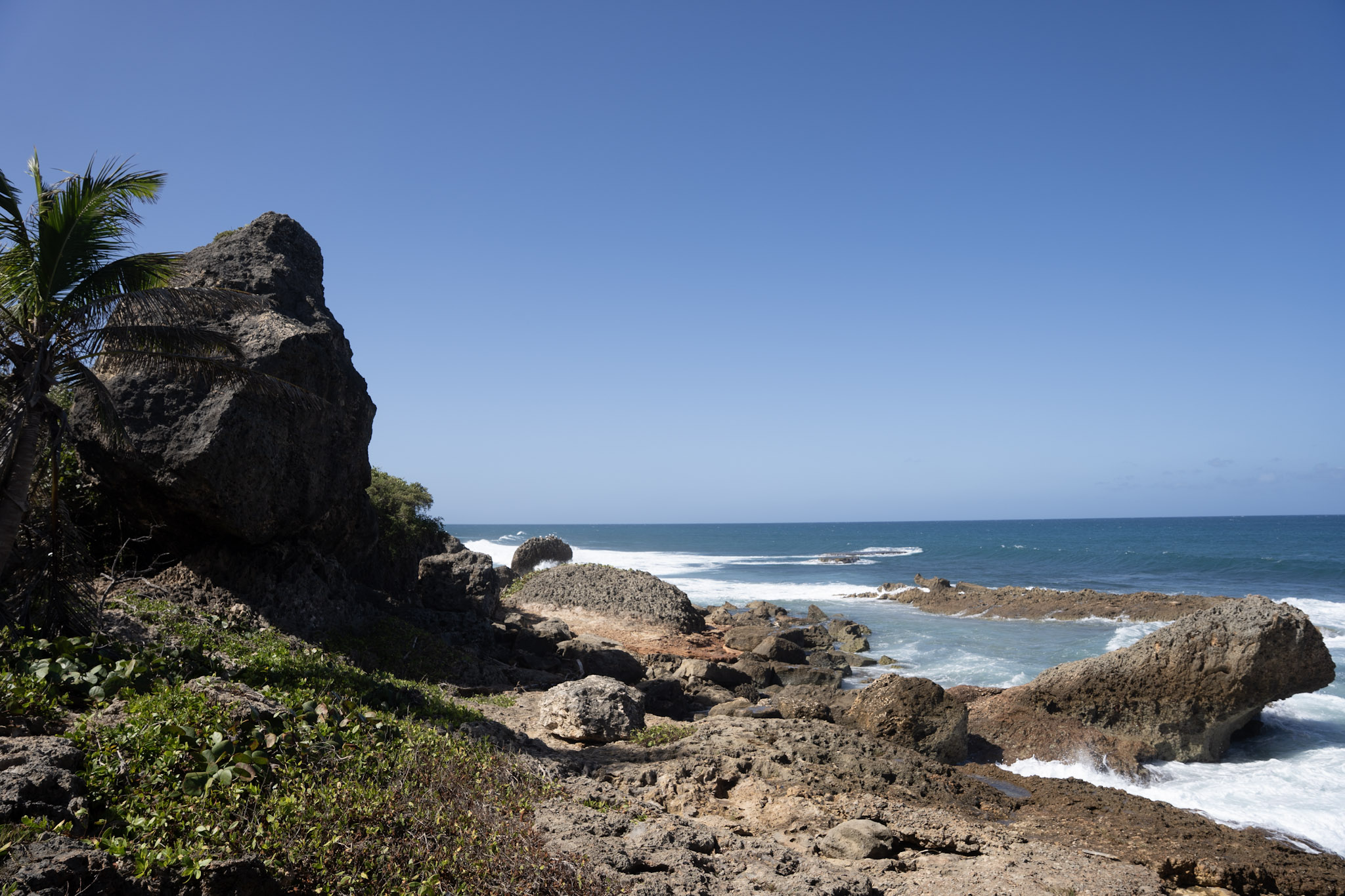 2022-12-26_Survivor_Beach - foto 69