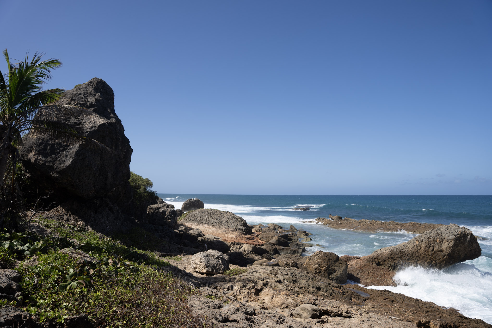 2022-12-26_Survivor_Beach - foto 72