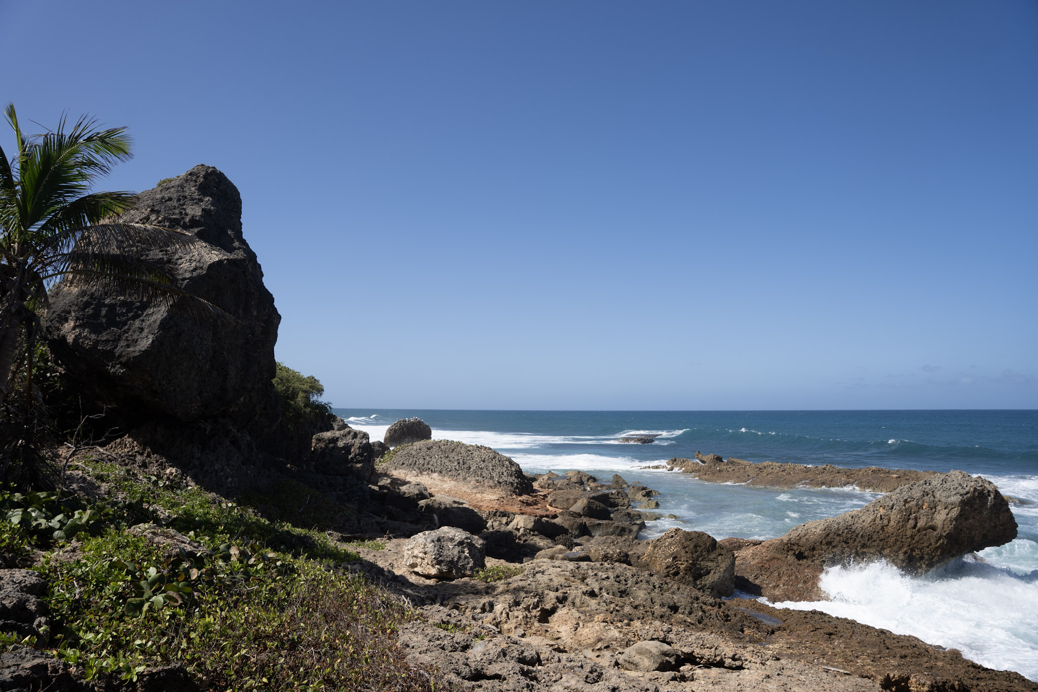 2022-12-26_Survivor_Beach - foto 74