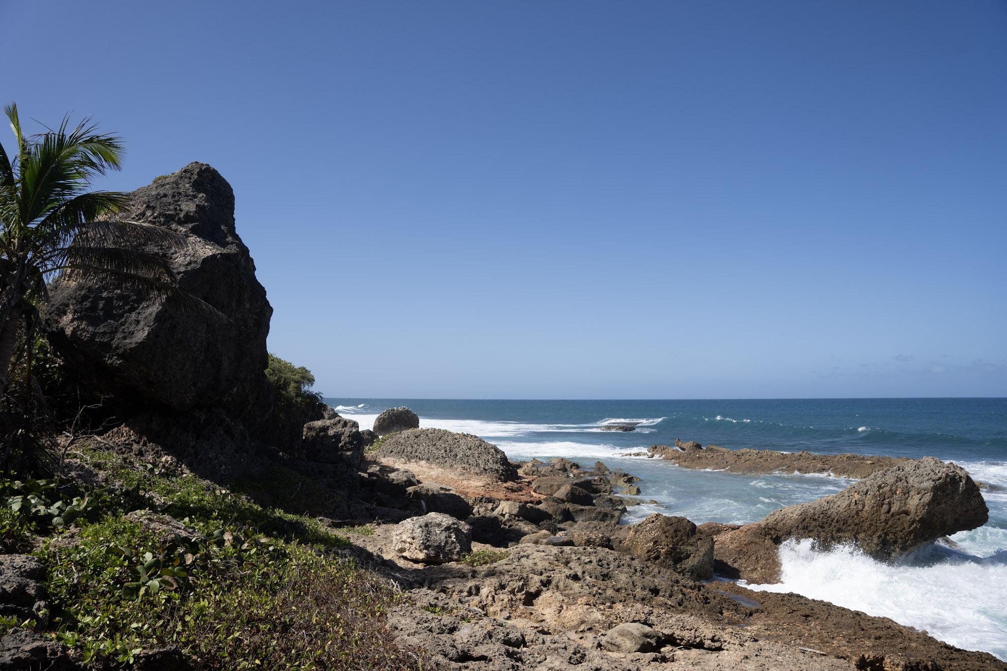 2022-12-26_Survivor_Beach - foto 75