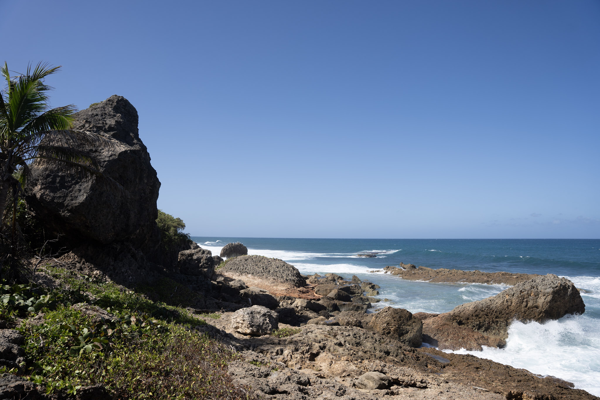 2022-12-26_Survivor_Beach - foto 77