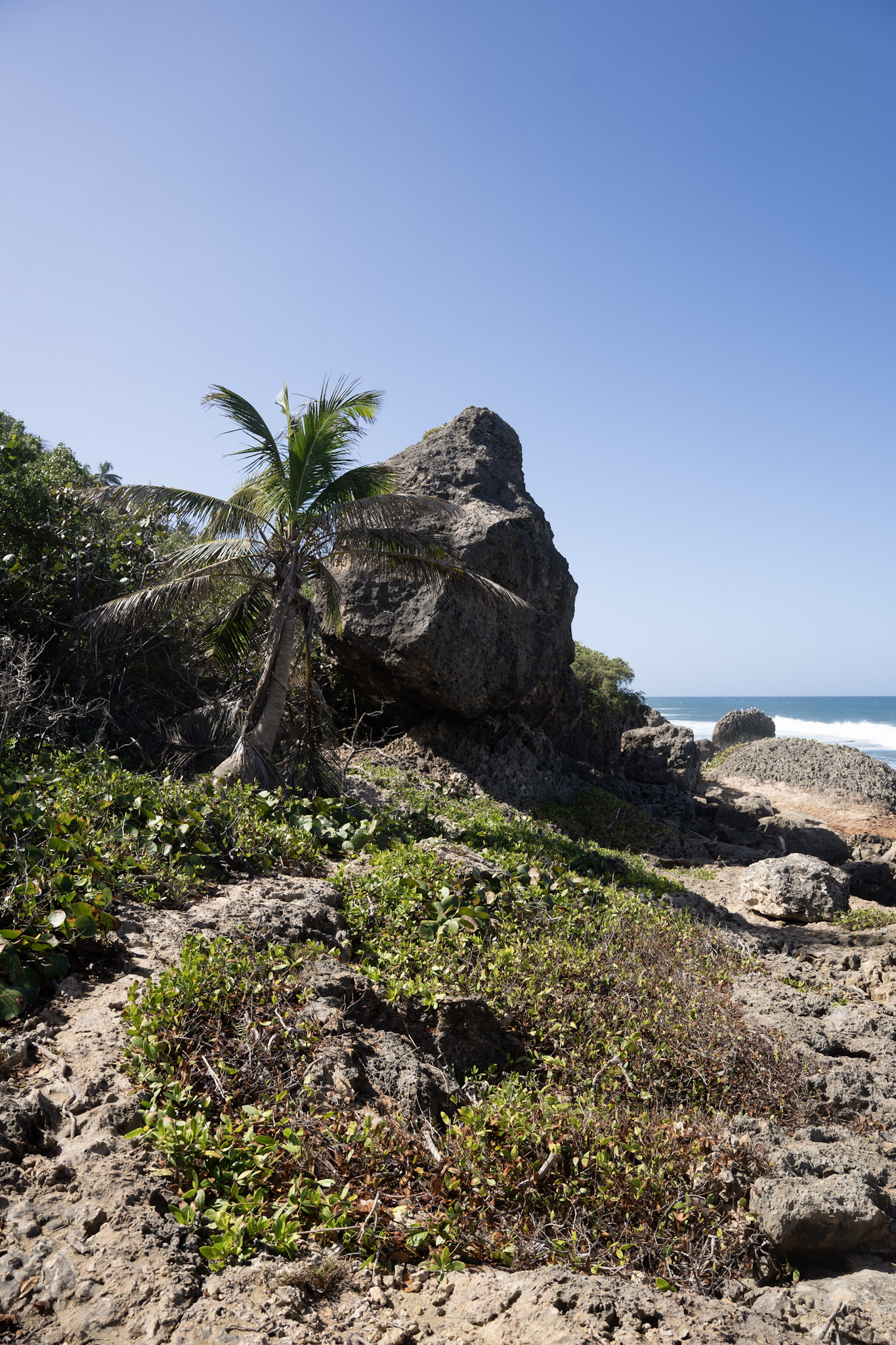 2022-12-26_Survivor_Beach - foto 78