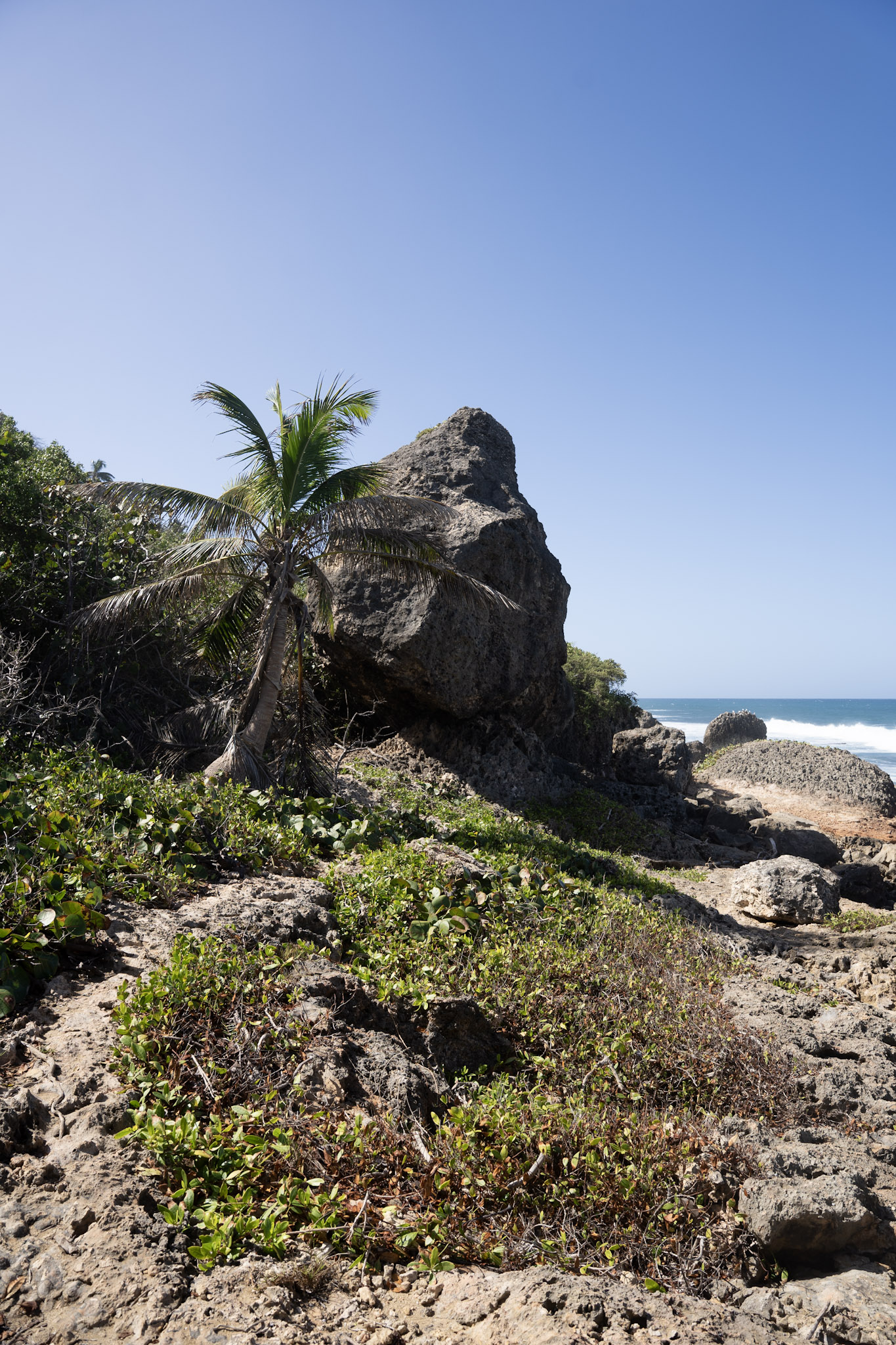 2022-12-26_Survivor_Beach - foto 79