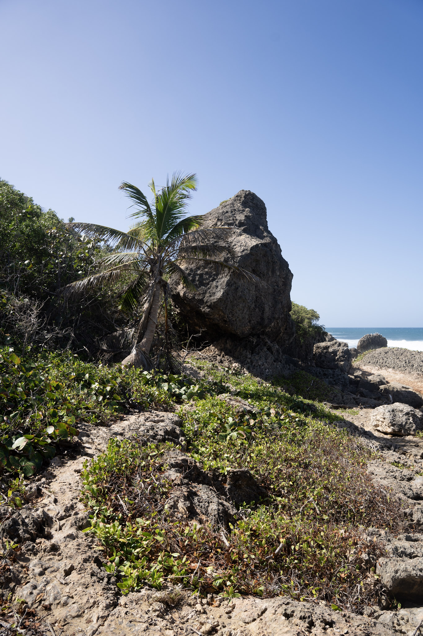 2022-12-26_Survivor_Beach - foto 80