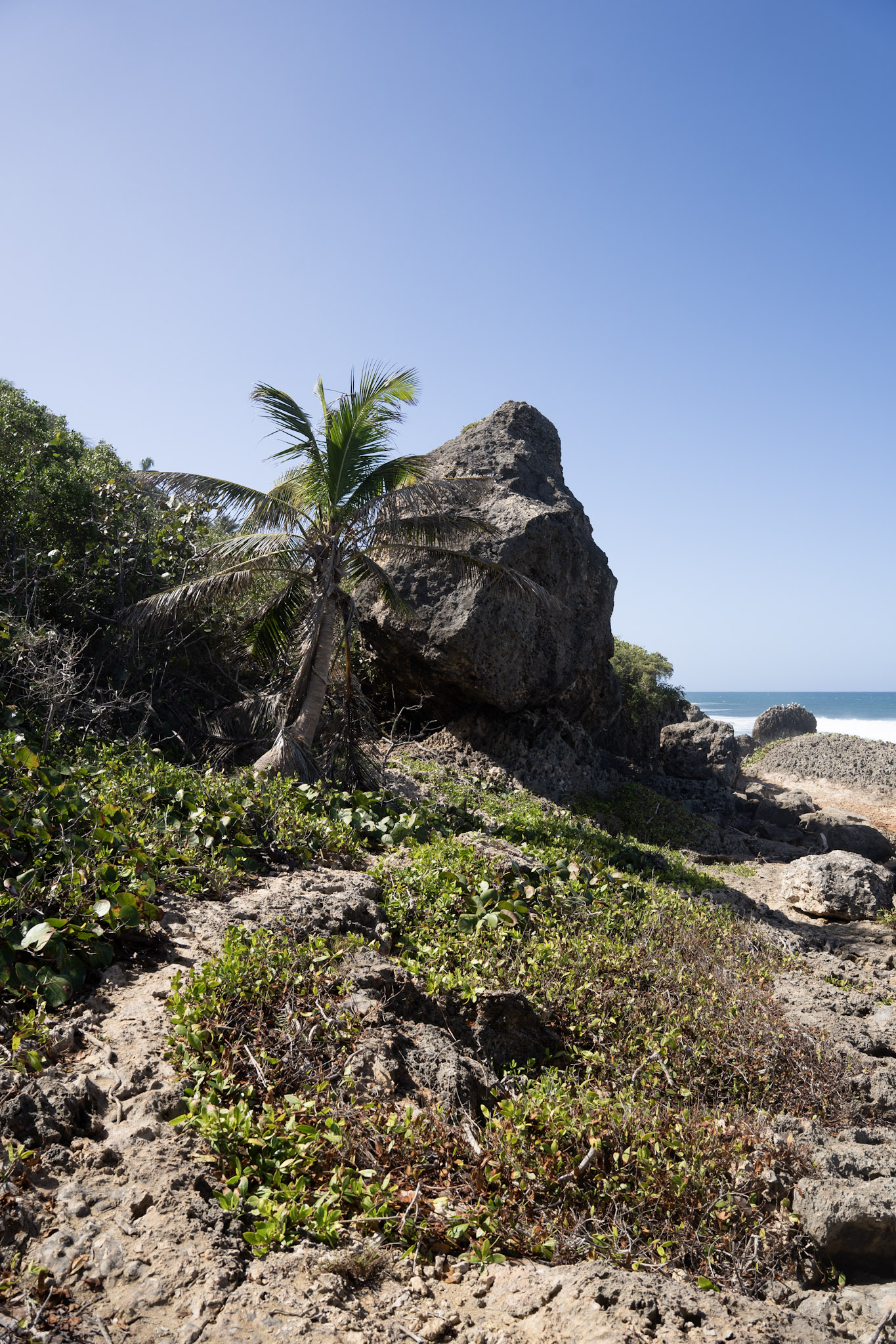 2022-12-26_Survivor_Beach - foto 81