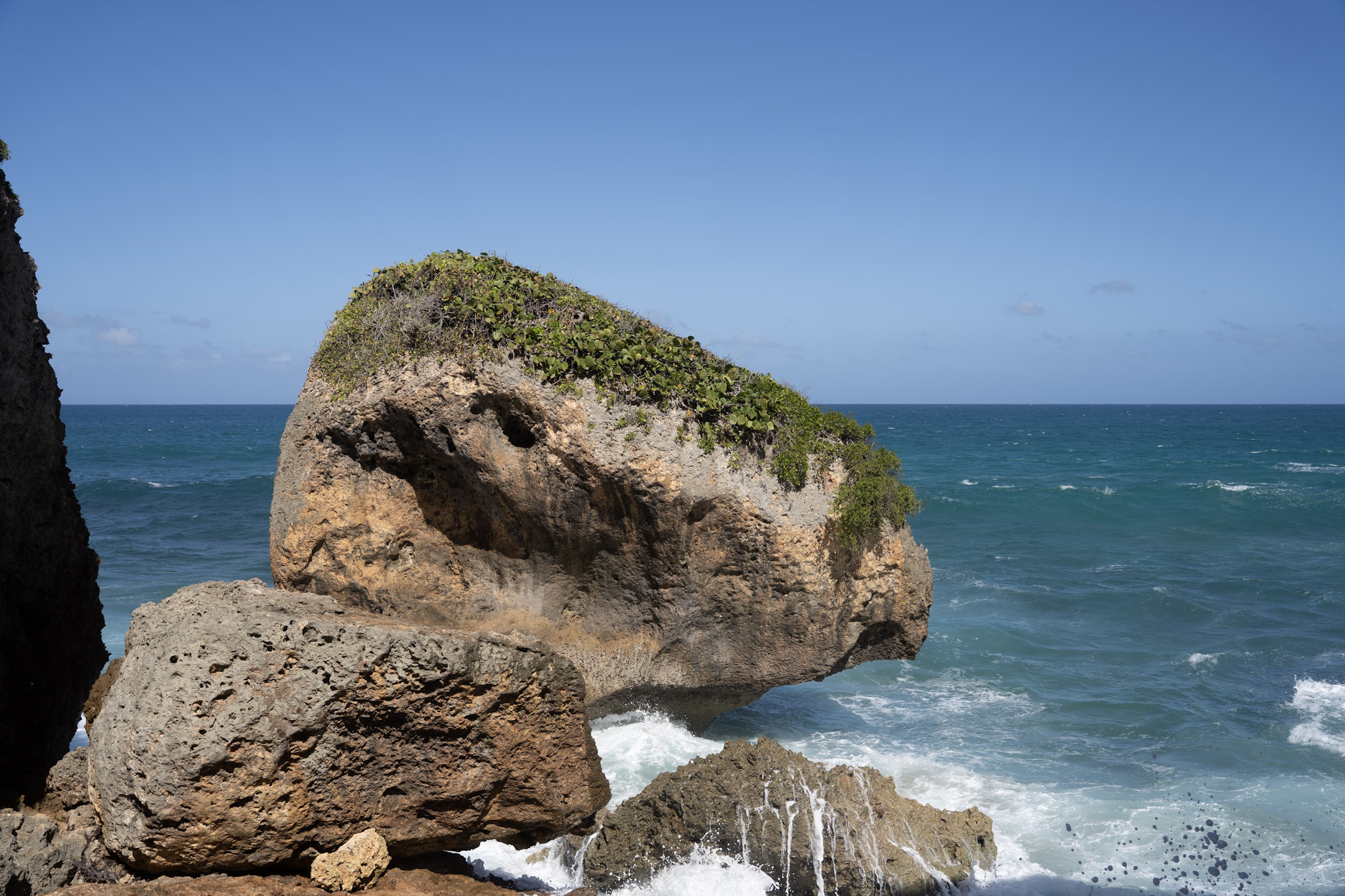 2022-12-26_Survivor_Beach - foto 82