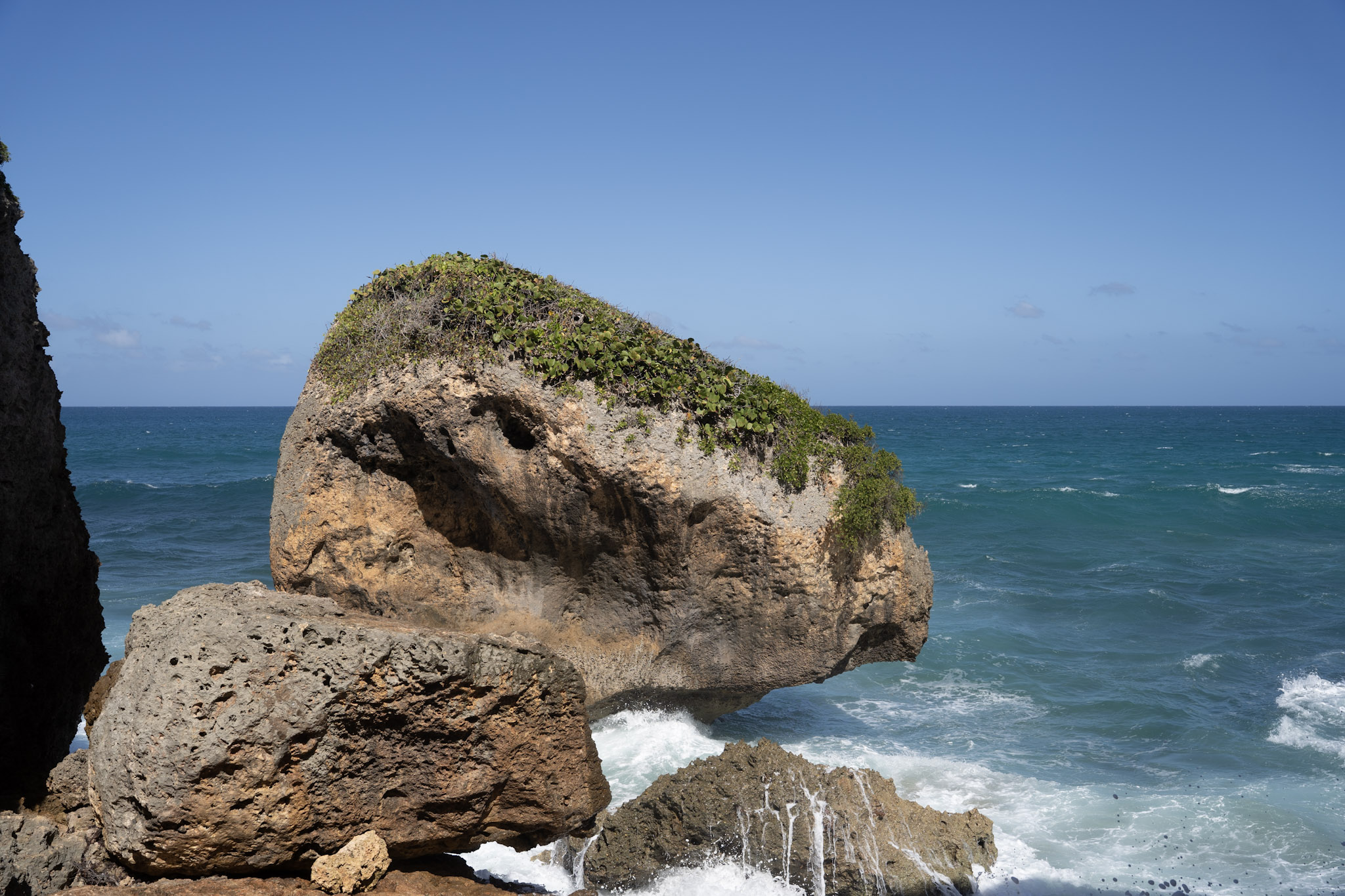 2022-12-26_Survivor_Beach - foto 83