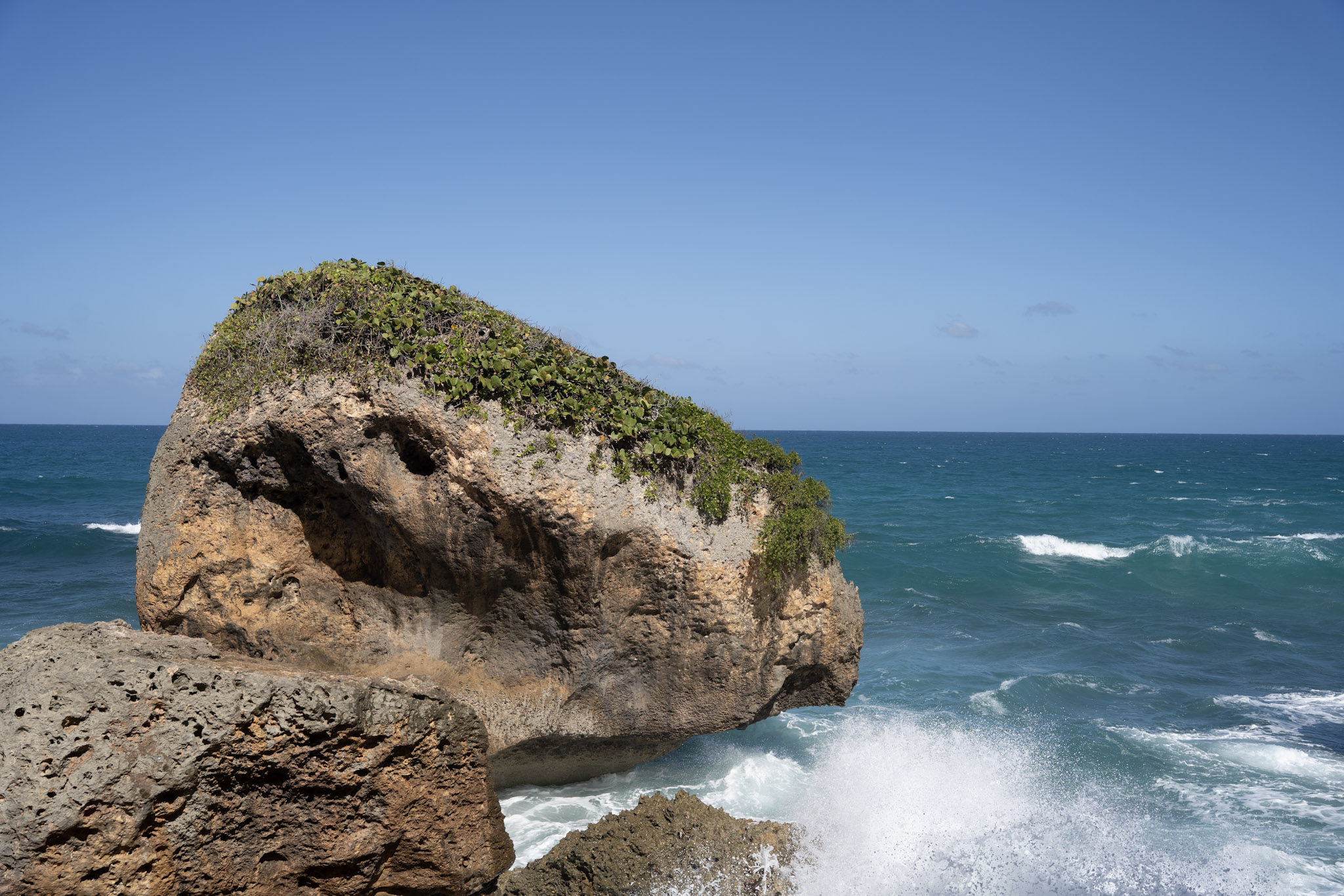 2022-12-26_Survivor_Beach - foto 84