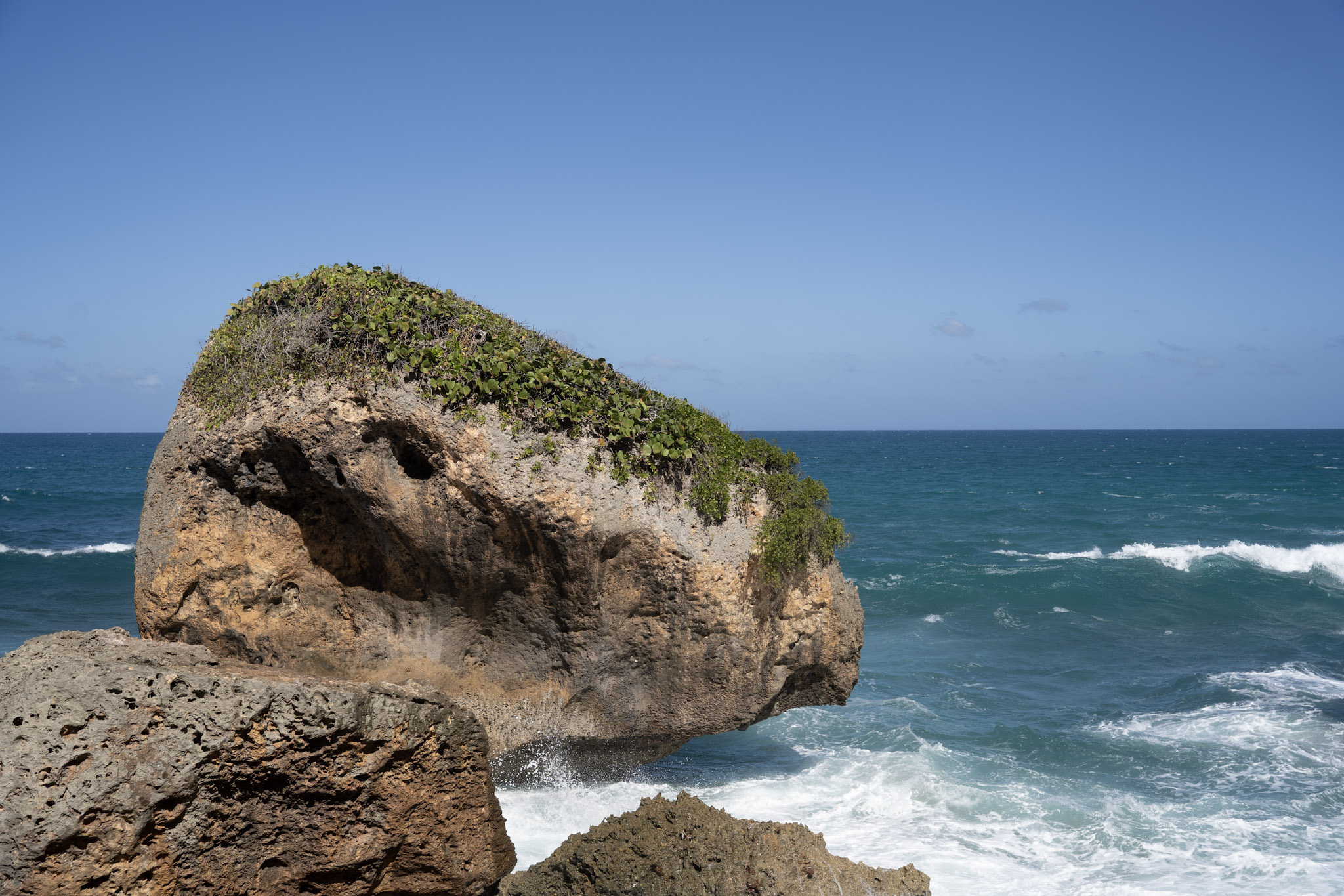 2022-12-26_Survivor_Beach - foto 85