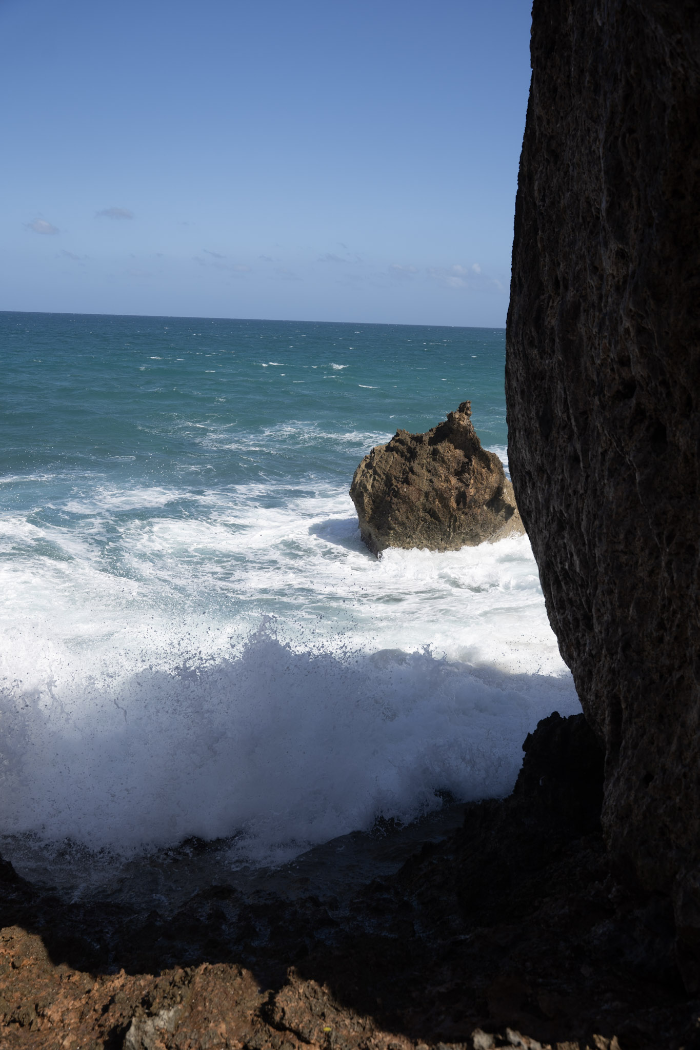 2022-12-26_Survivor_Beach - foto 86