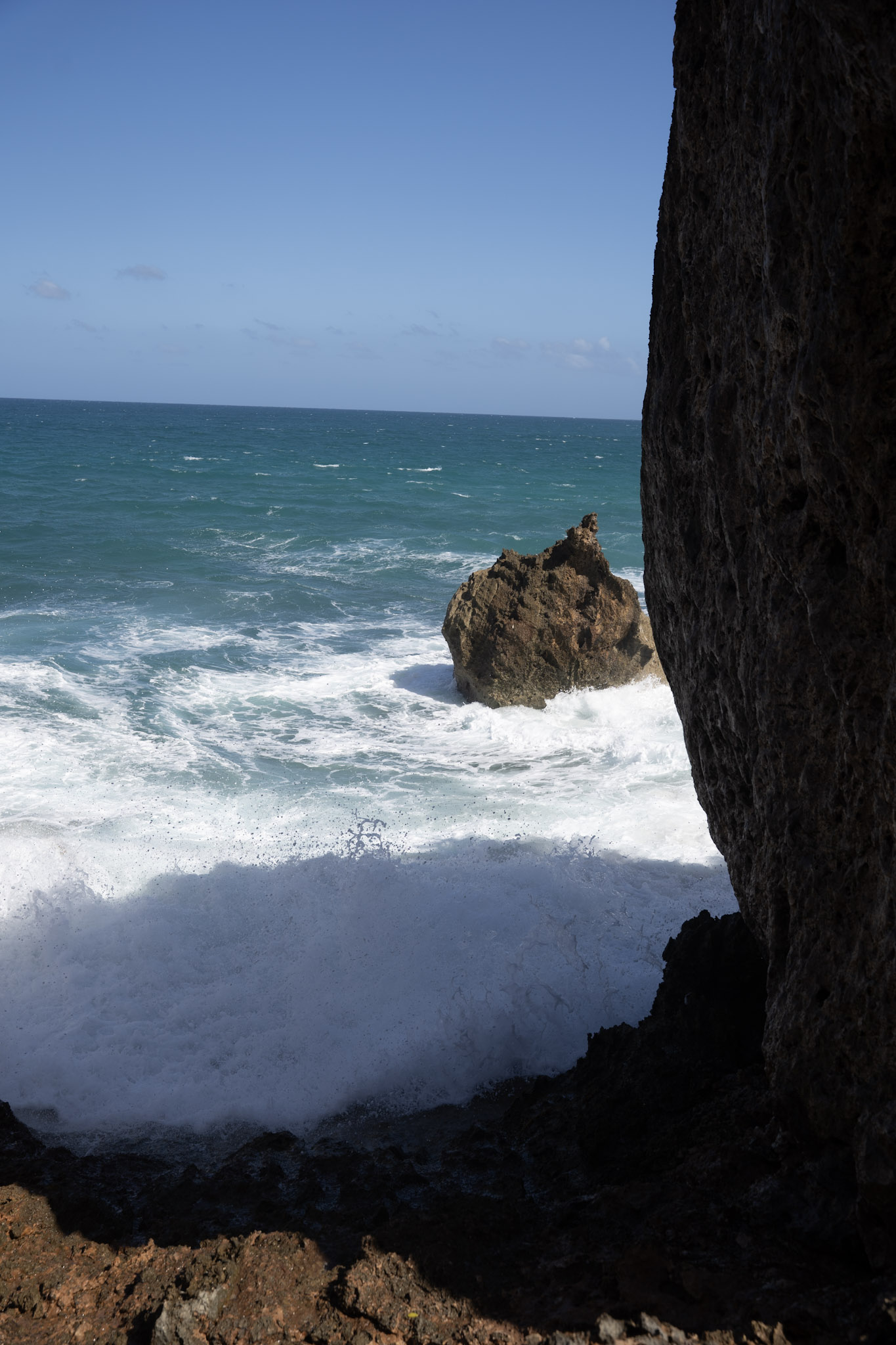 2022-12-26_Survivor_Beach - foto 87