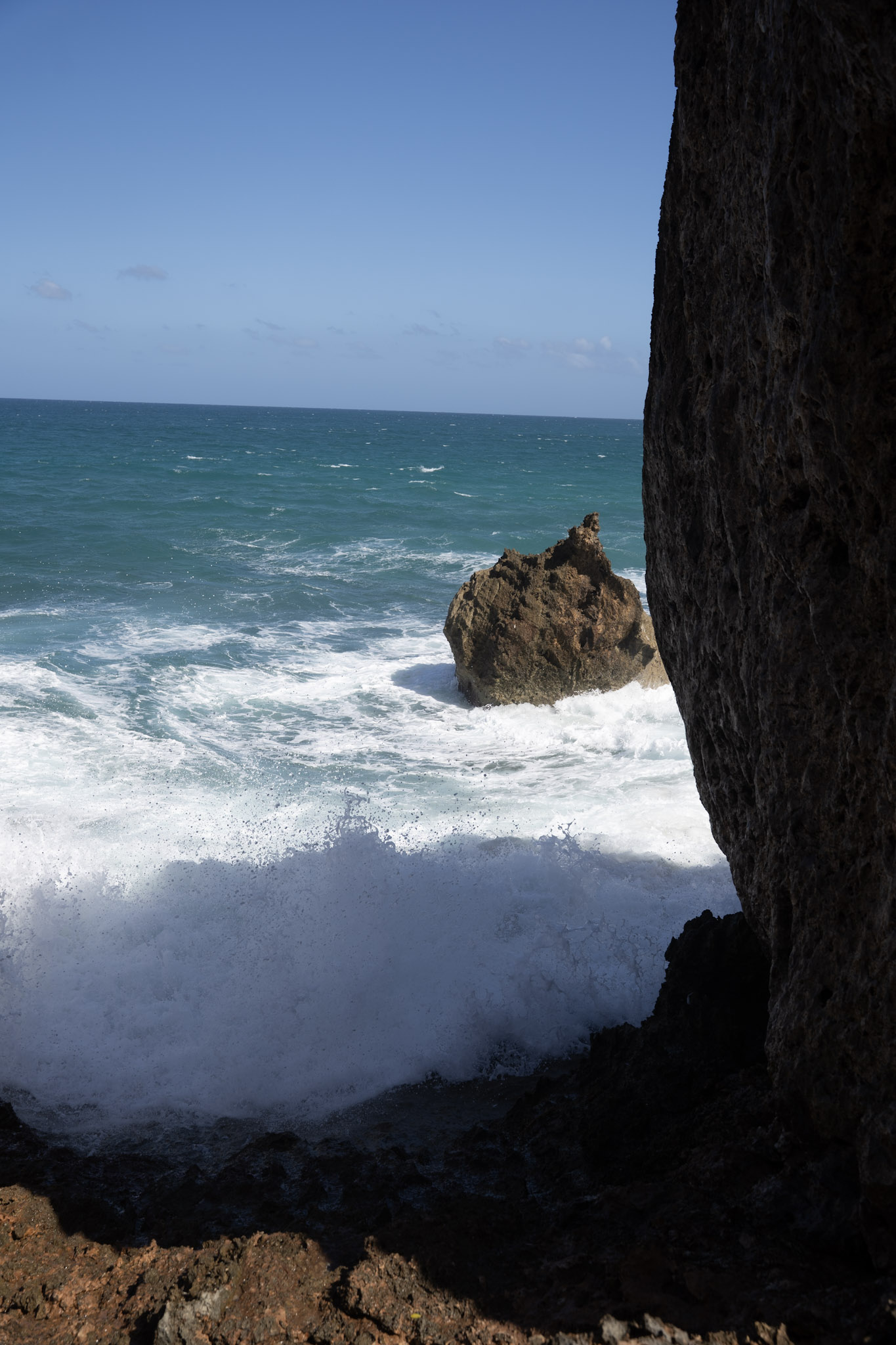 2022-12-26_Survivor_Beach - foto 88