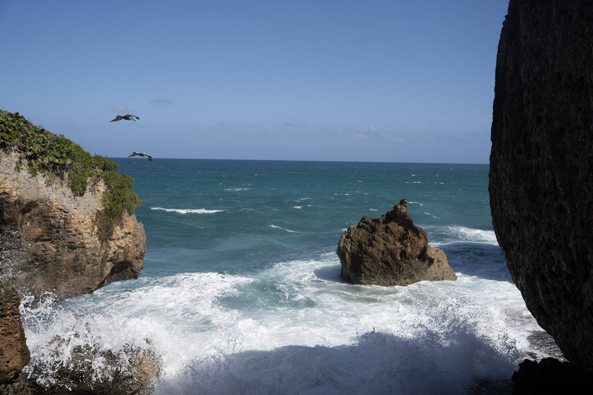 2022-12-26_Survivor_Beach - foto 89