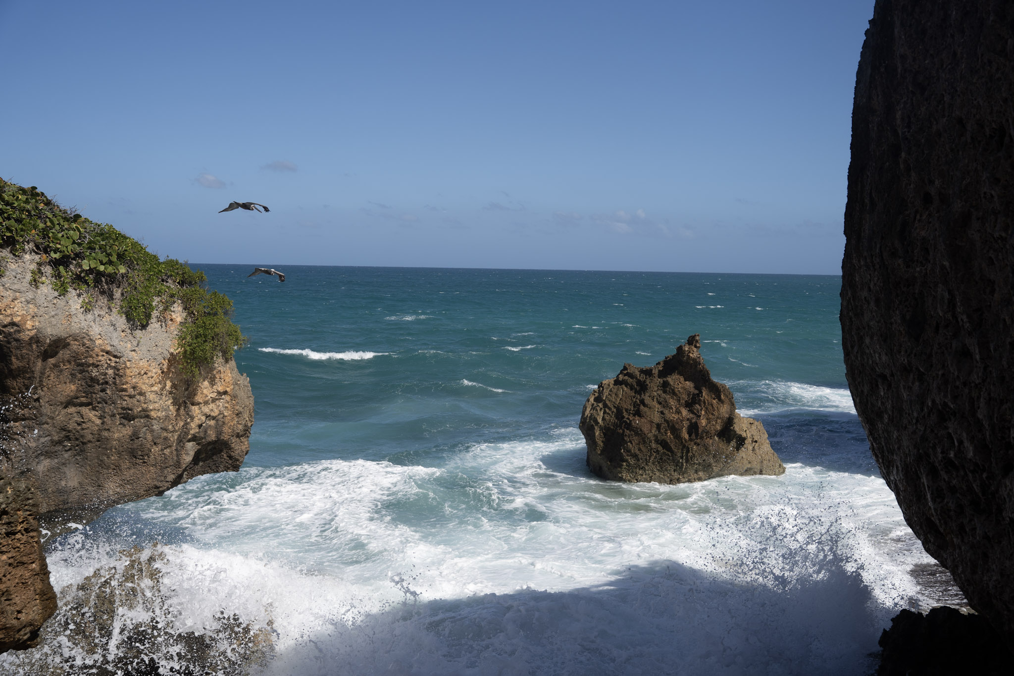 2022-12-26_Survivor_Beach - foto 90