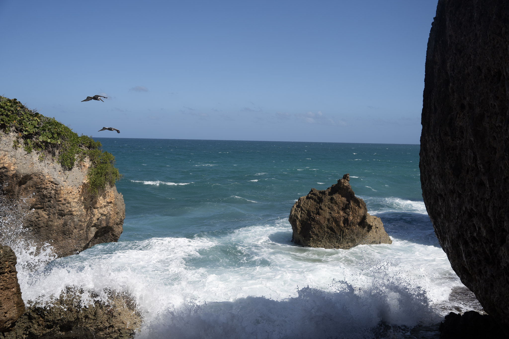 2022-12-26_Survivor_Beach - foto 91