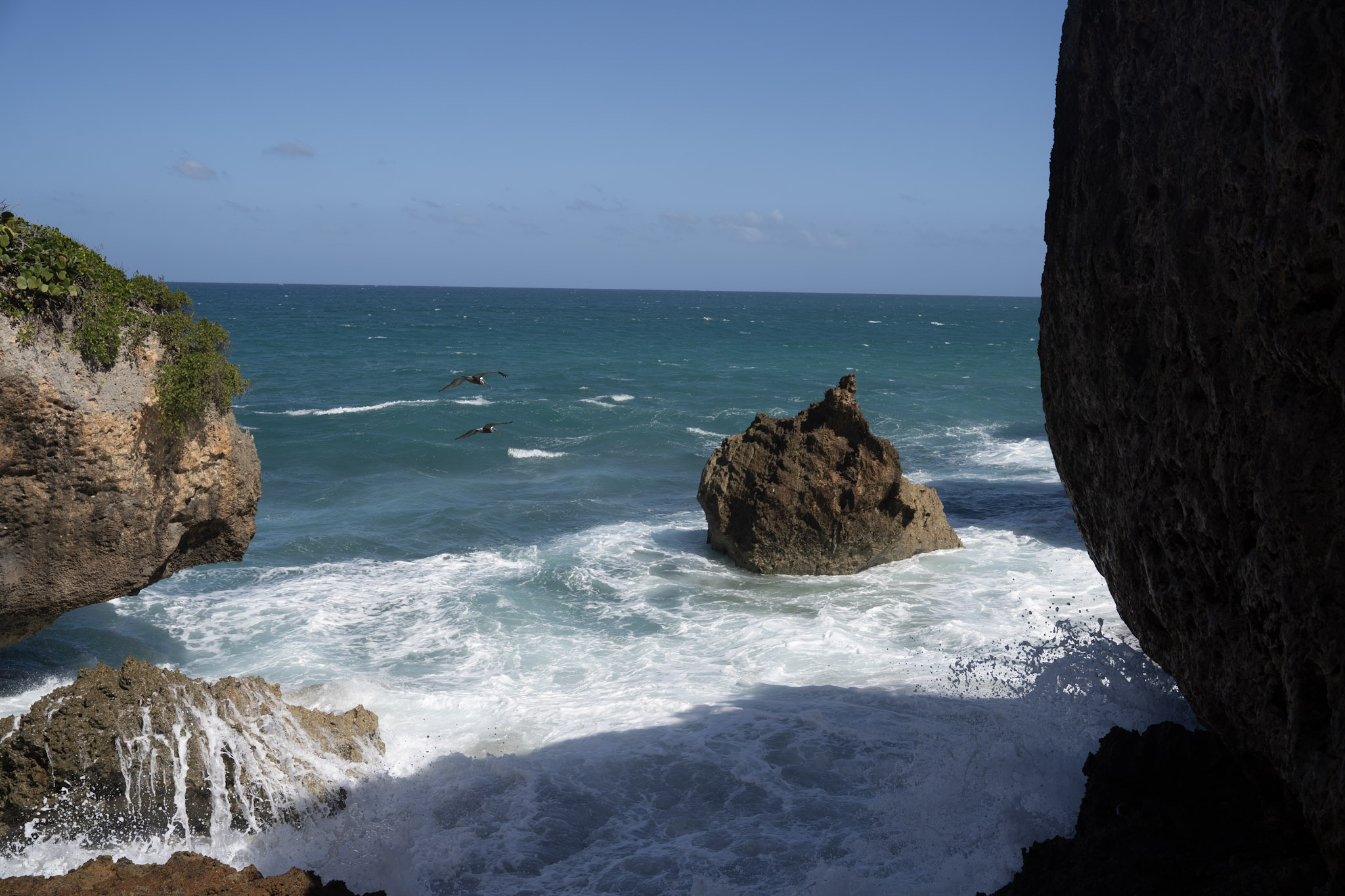 2022-12-26_Survivor_Beach - foto 92