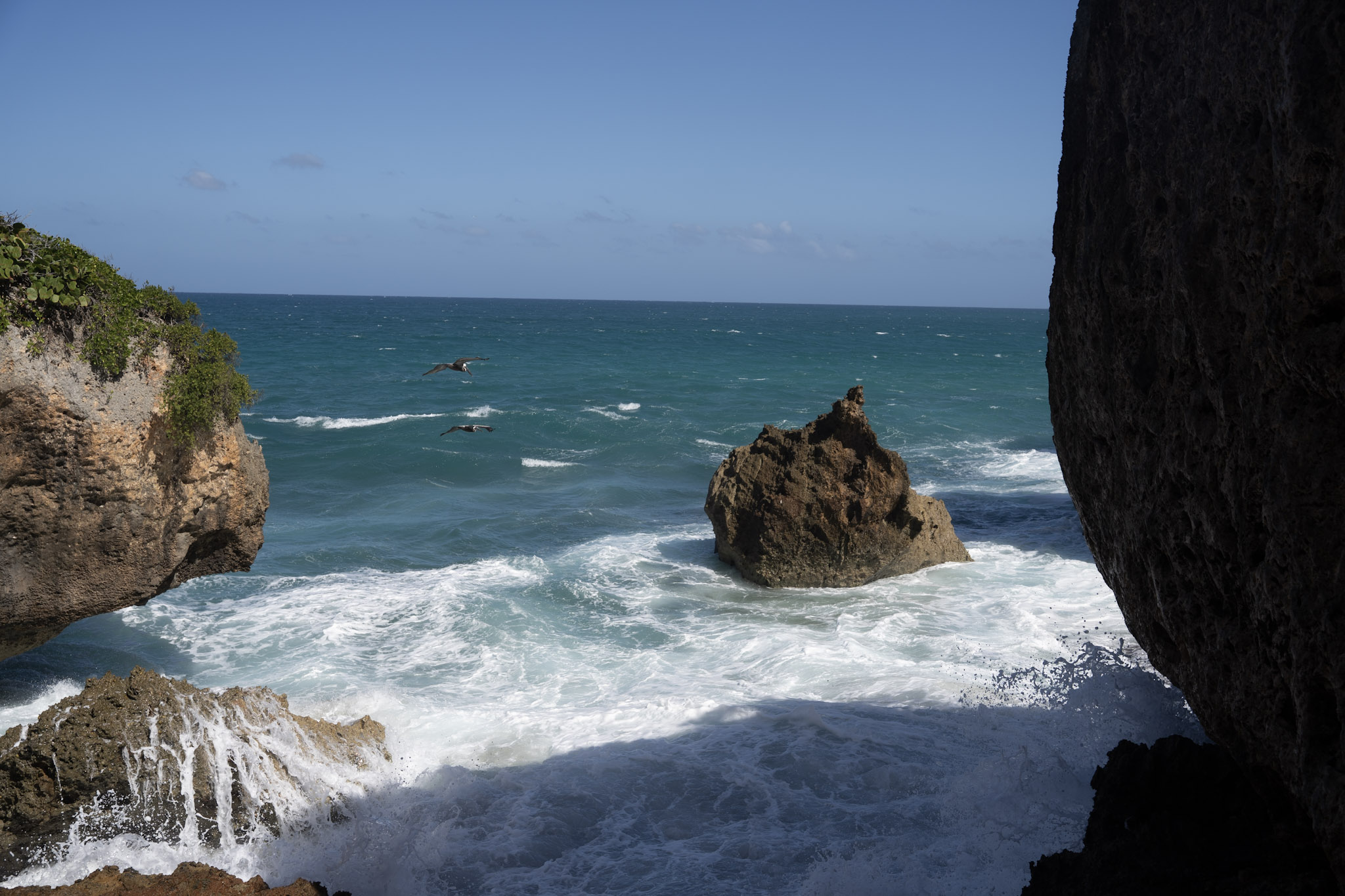 2022-12-26_Survivor_Beach - foto 93