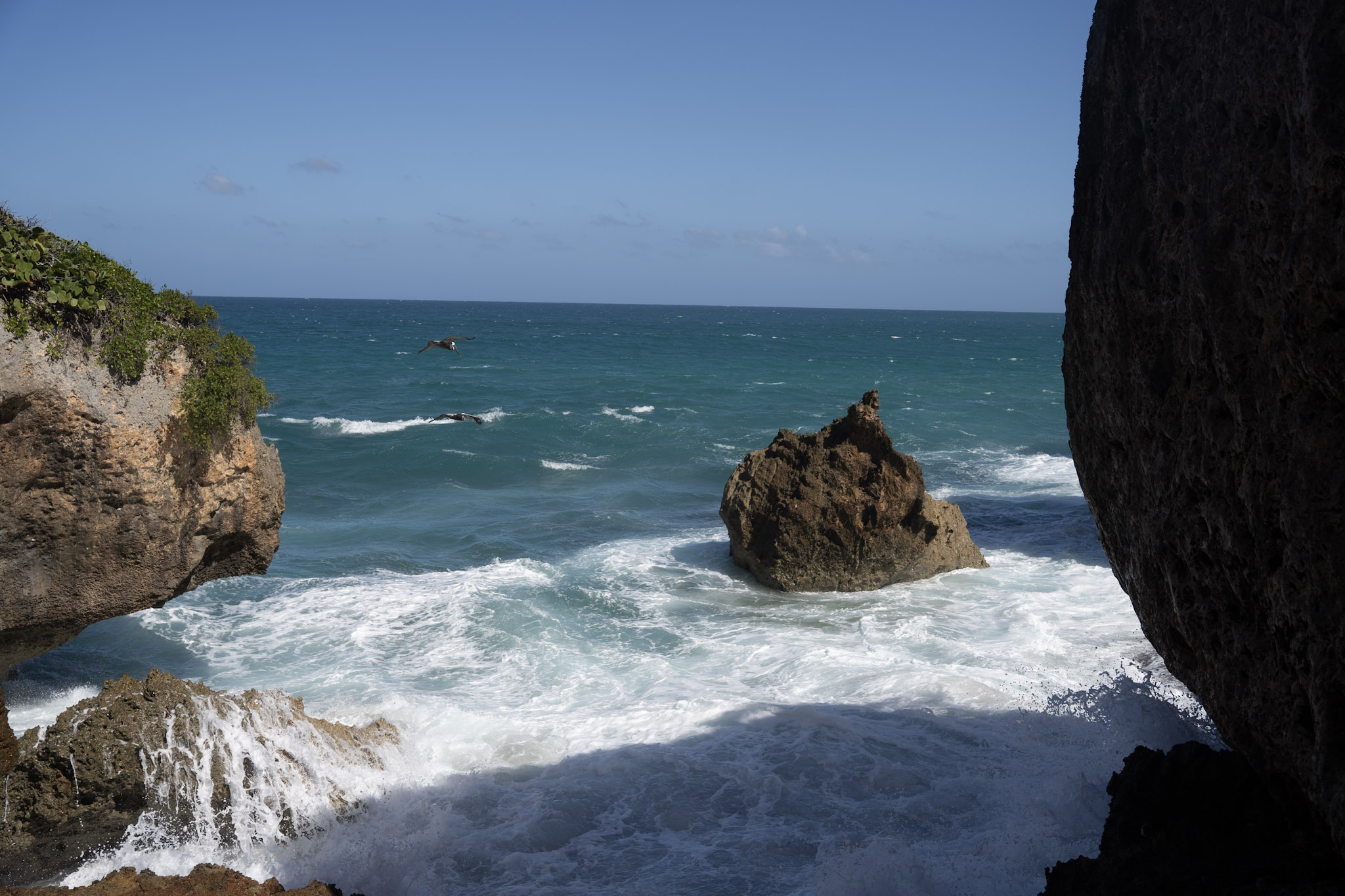 2022-12-26_Survivor_Beach - foto 94