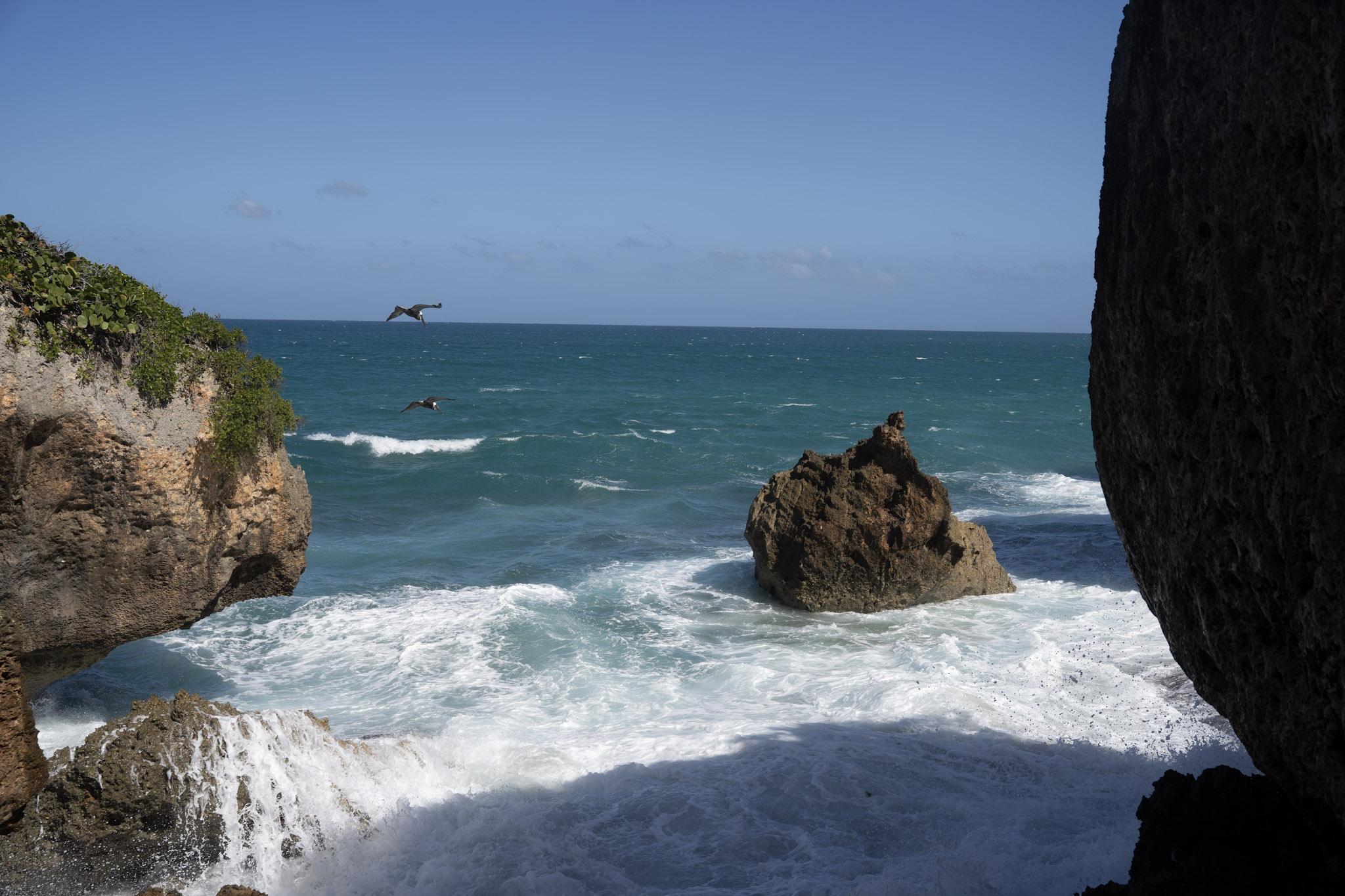 2022-12-26_Survivor_Beach - foto 95