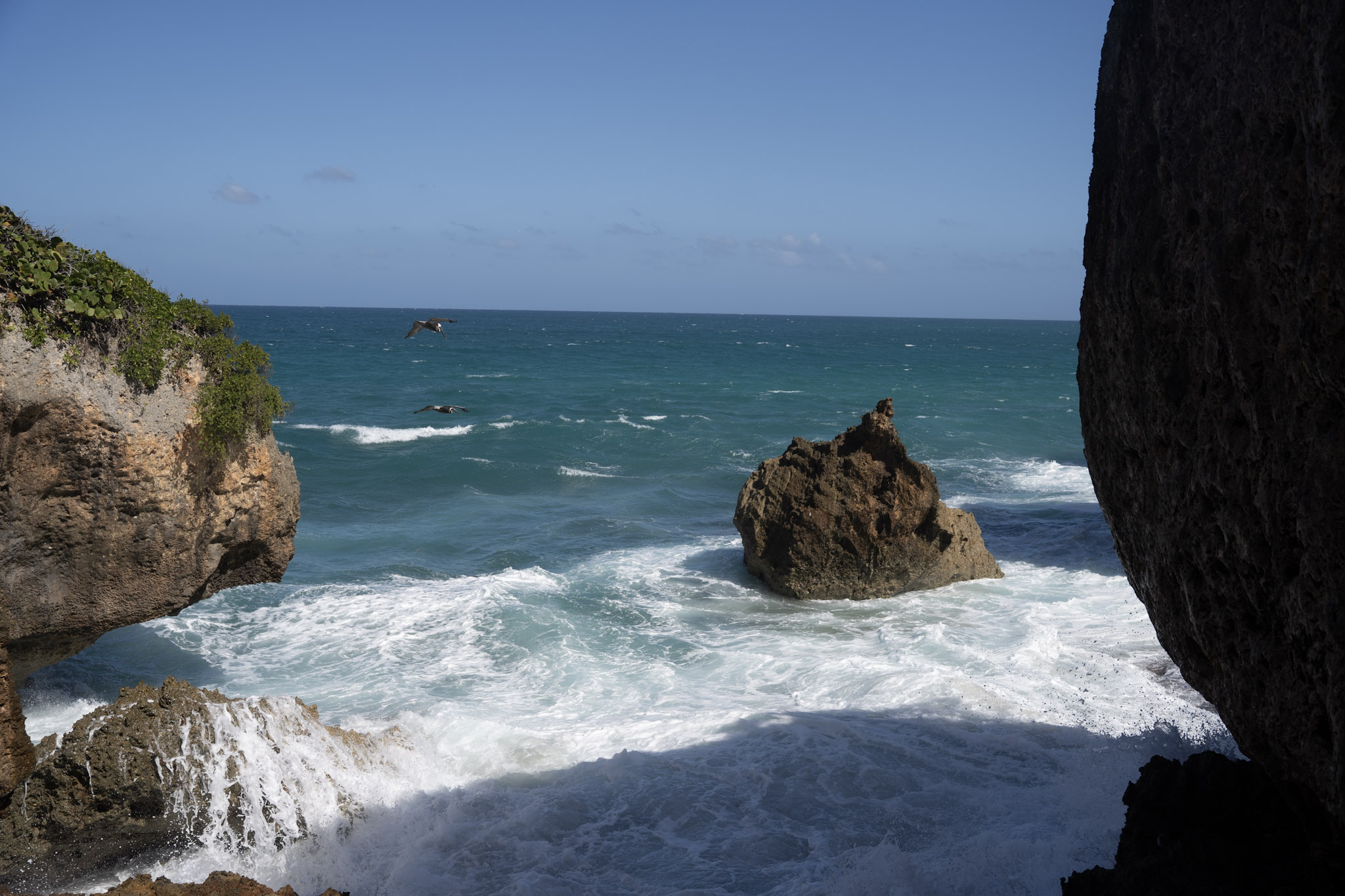 2022-12-26_Survivor_Beach - foto 96