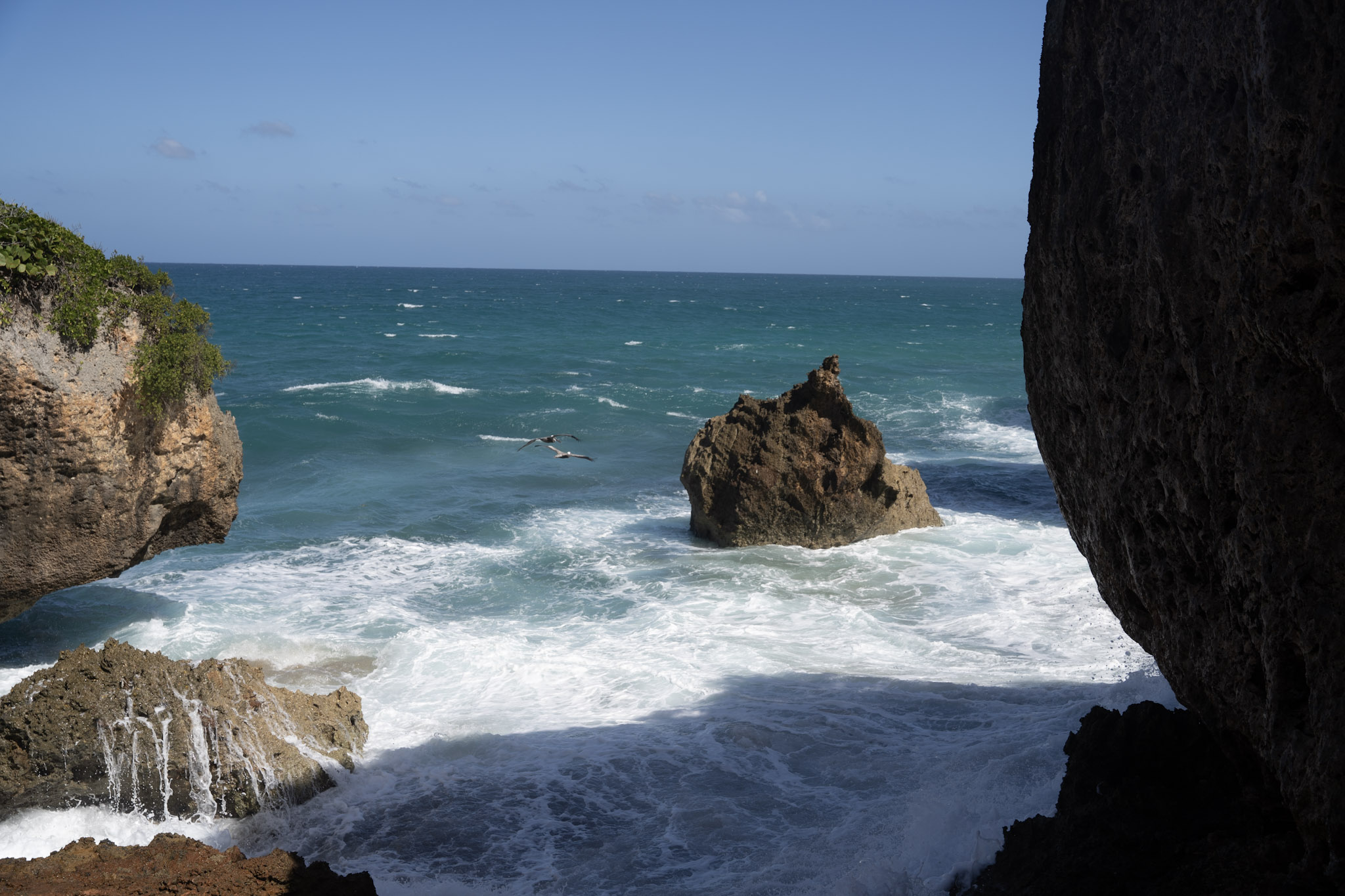 2022-12-26_Survivor_Beach - foto 97