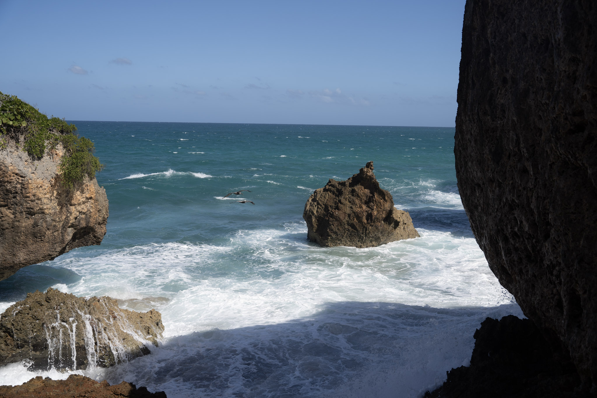 2022-12-26_Survivor_Beach - foto 98