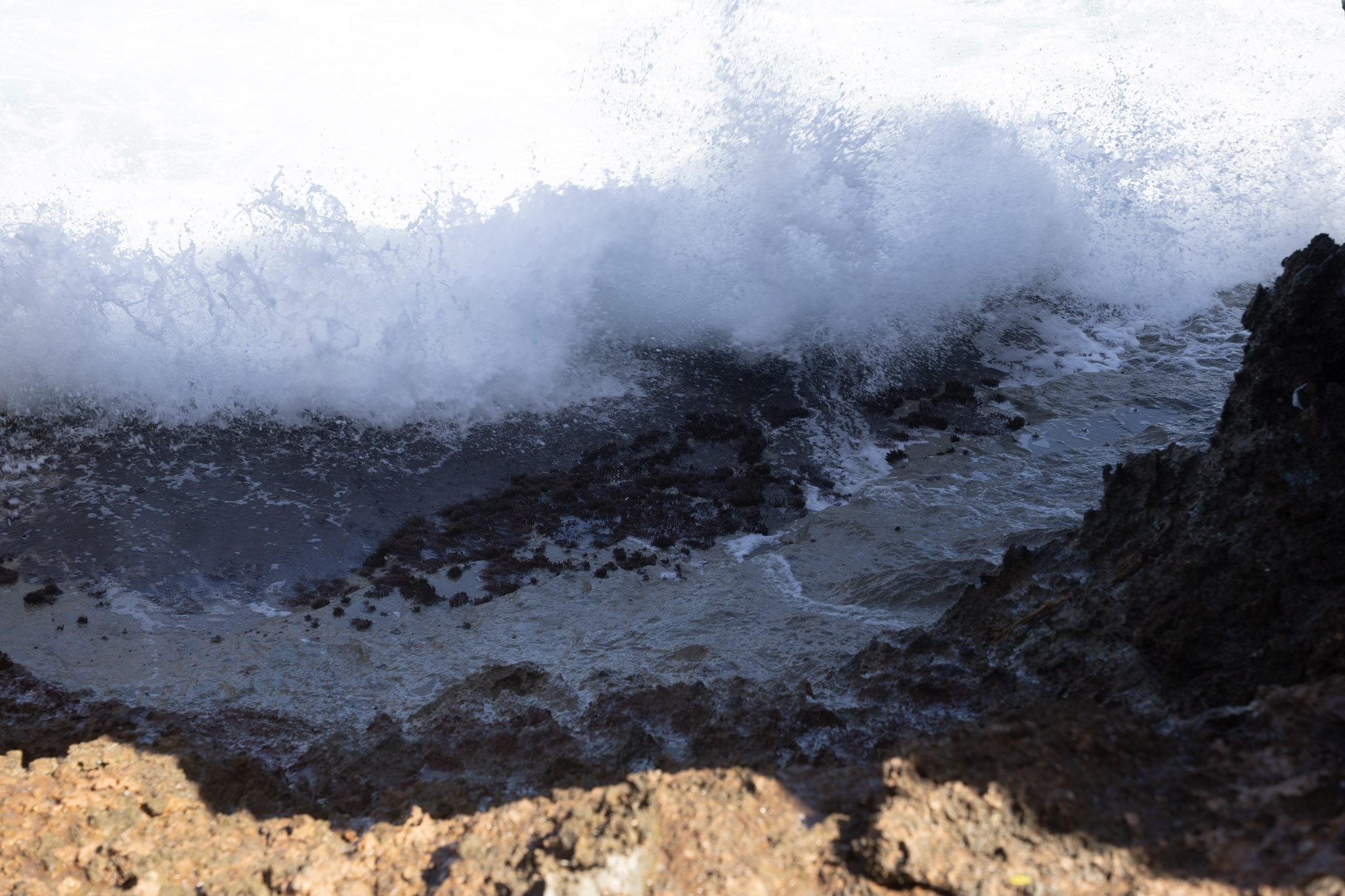 2022-12-26_Survivor_Beach - foto 99