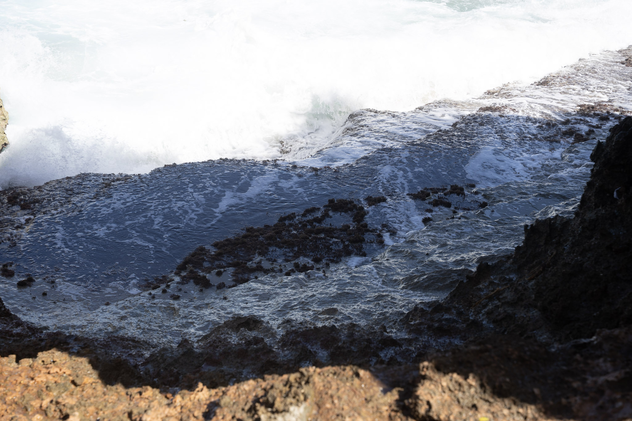 2022-12-26_Survivor_Beach - foto 100