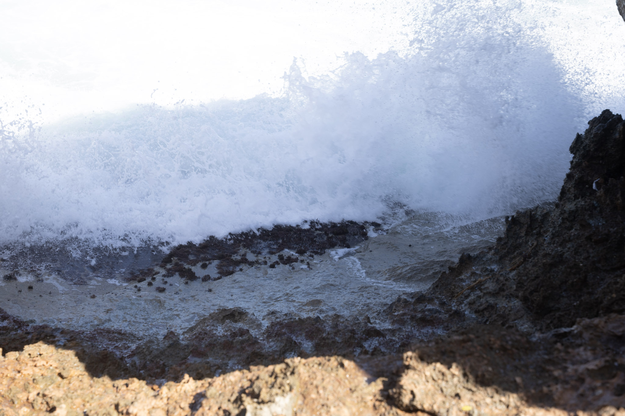 2022-12-26_Survivor_Beach - foto 101