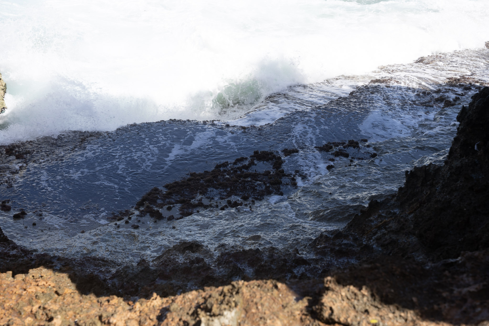 2022-12-26_Survivor_Beach - foto 103