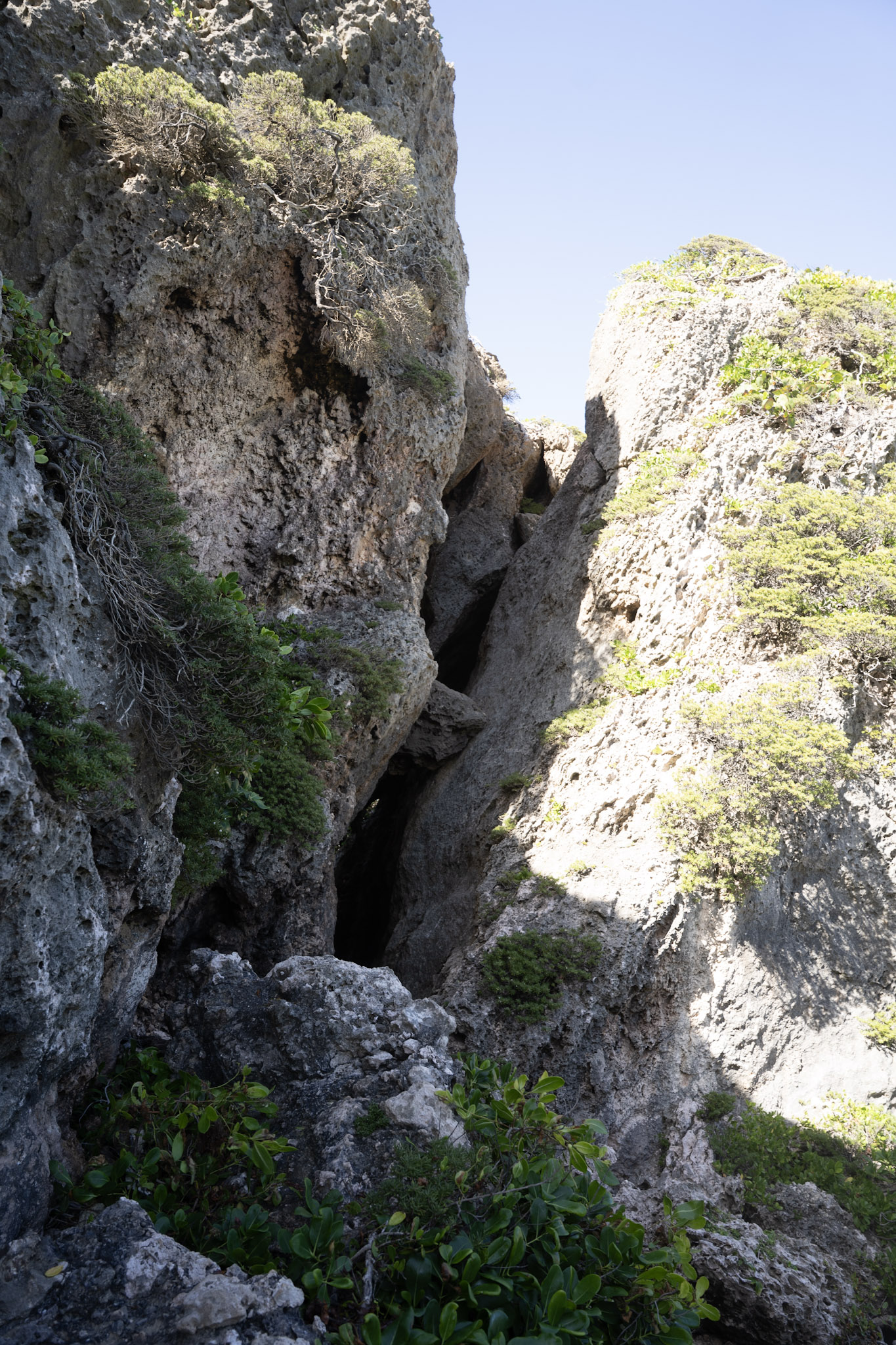 2022-12-26_Survivor_Beach - foto 119