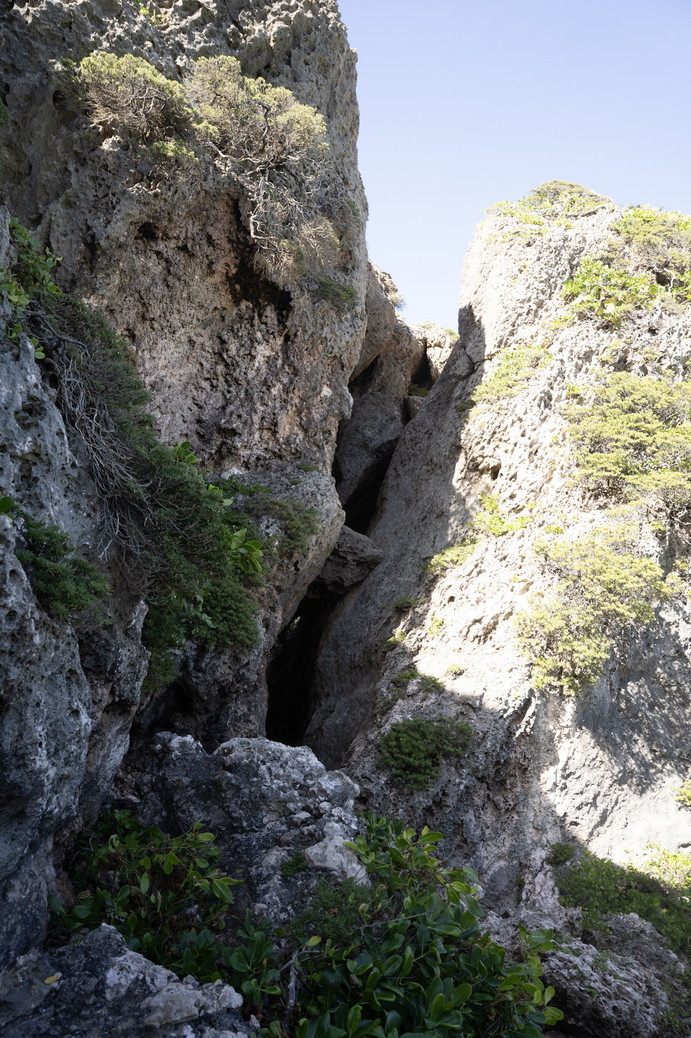 2022-12-26_Survivor_Beach - foto 120