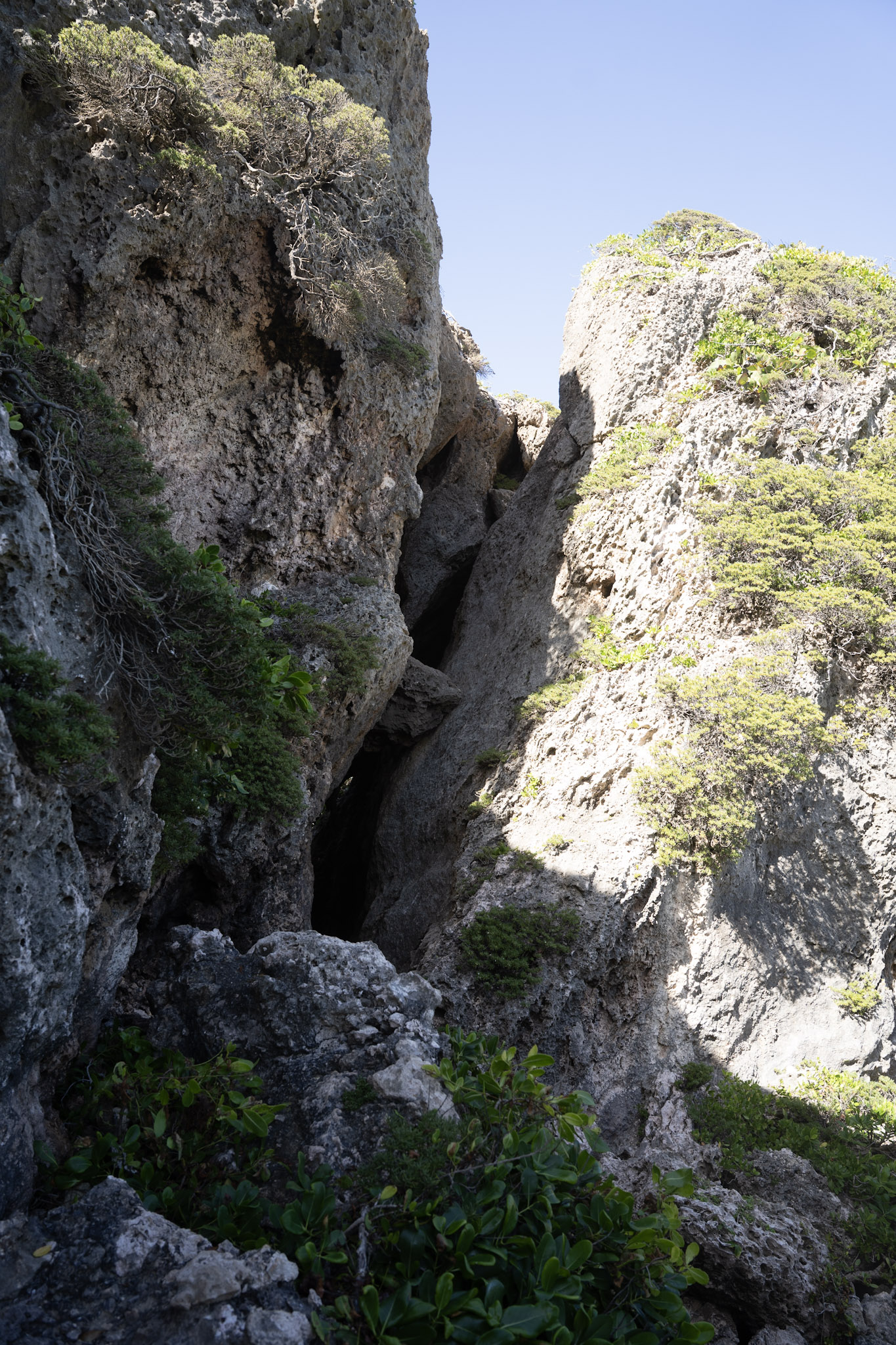 2022-12-26_Survivor_Beach - foto 121