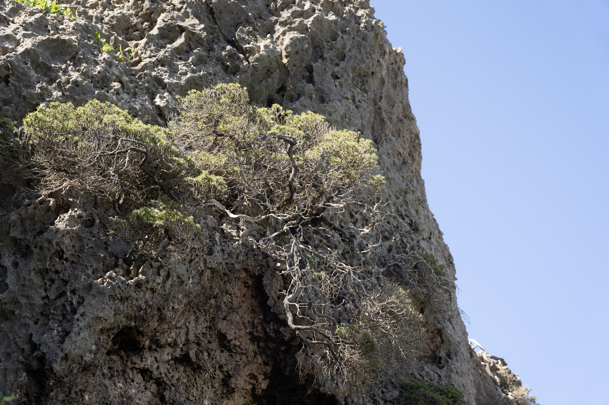 2022-12-26_Survivor_Beach - foto 123