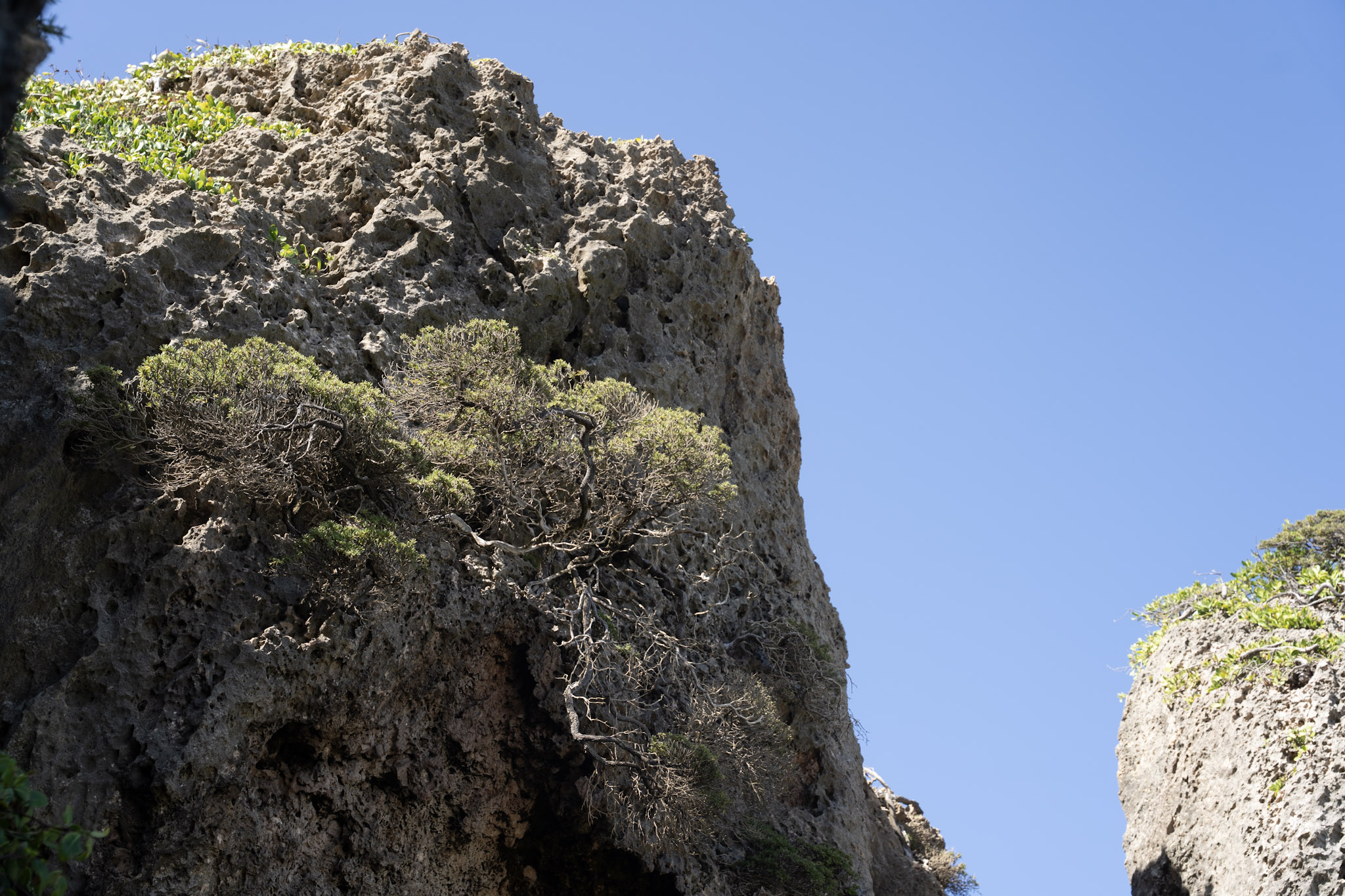 2022-12-26_Survivor_Beach - foto 125