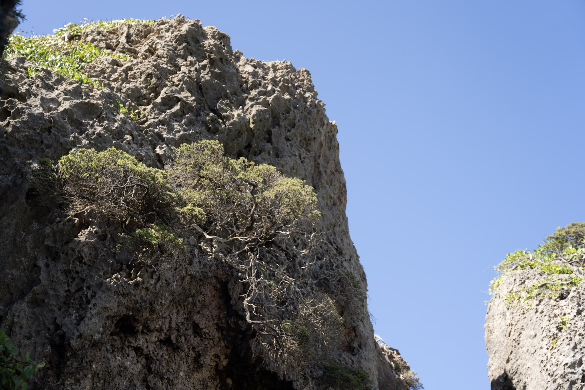 2022-12-26_Survivor_Beach - foto 126