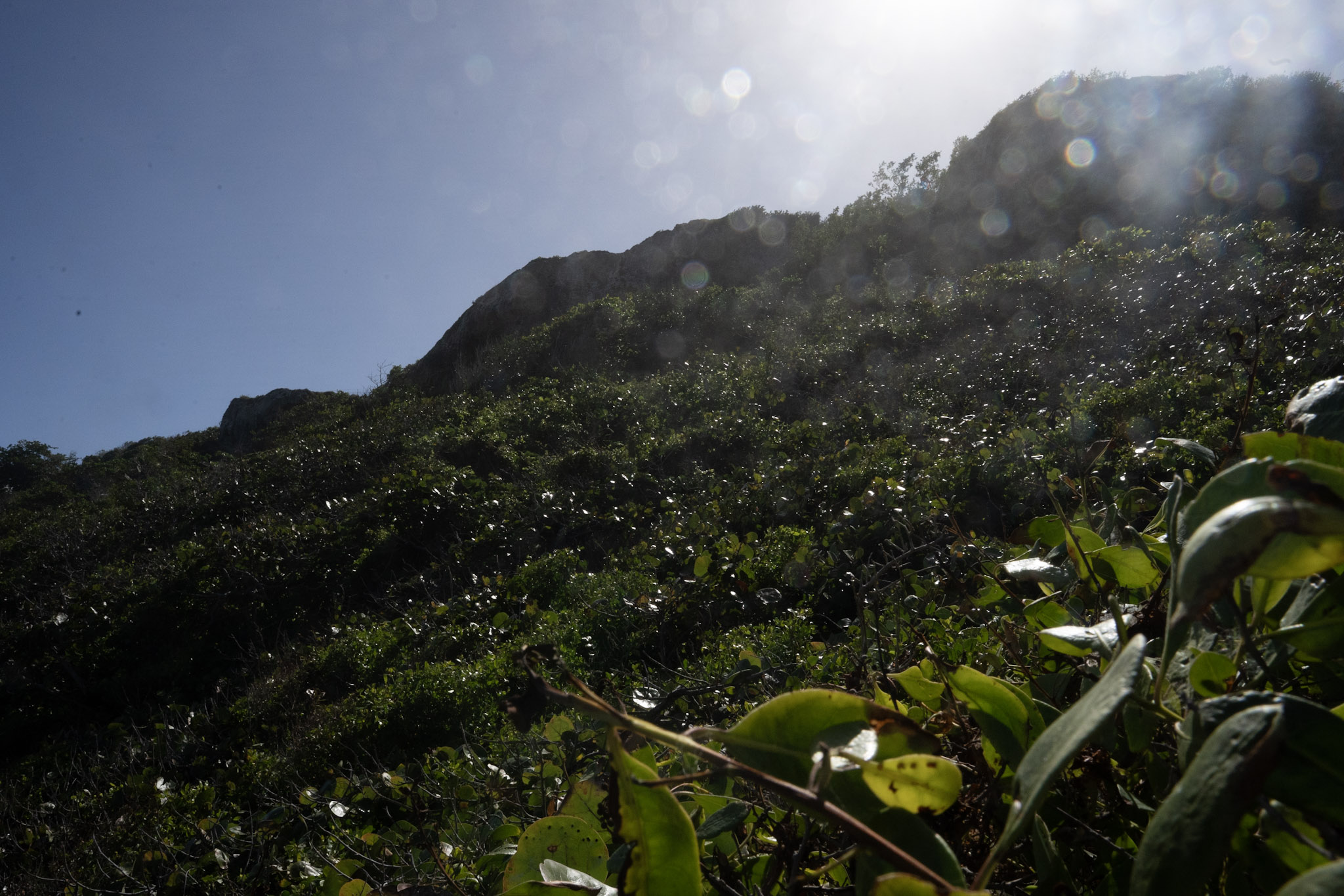 2022-12-26_Survivor_Beach - foto 136