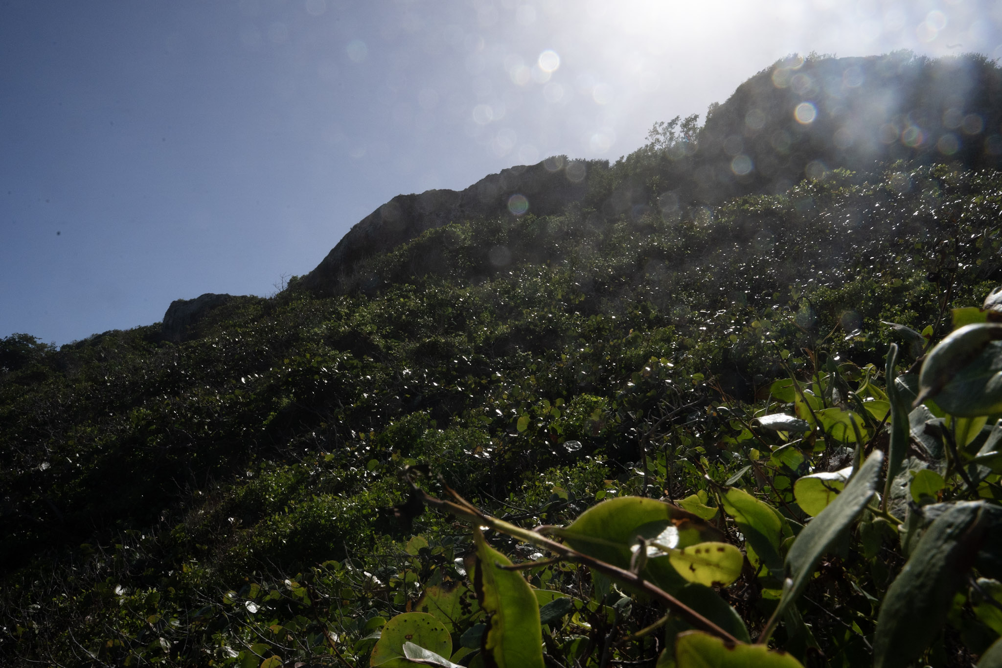 2022-12-26_Survivor_Beach - foto 137