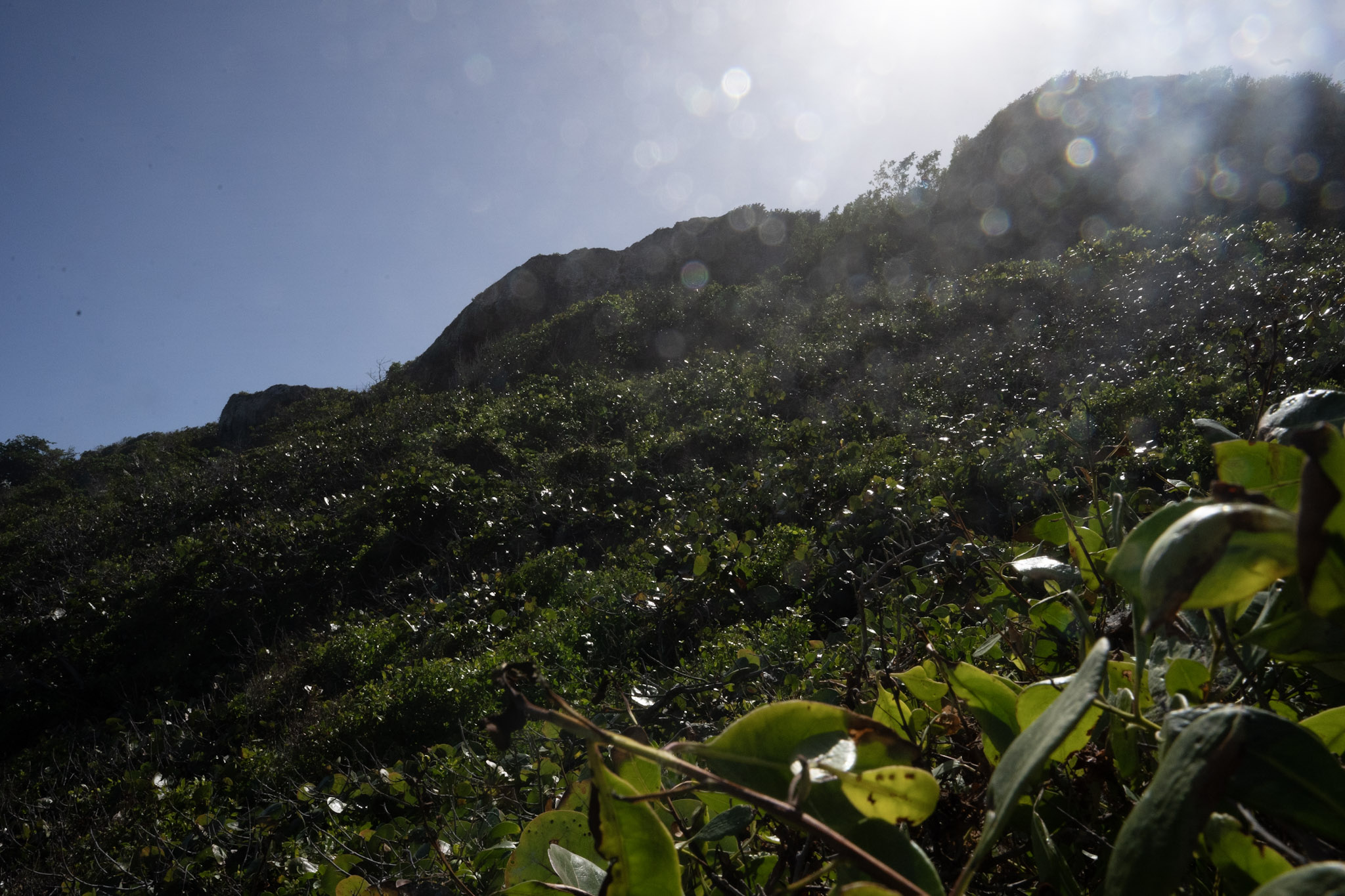 2022-12-26_Survivor_Beach - foto 138