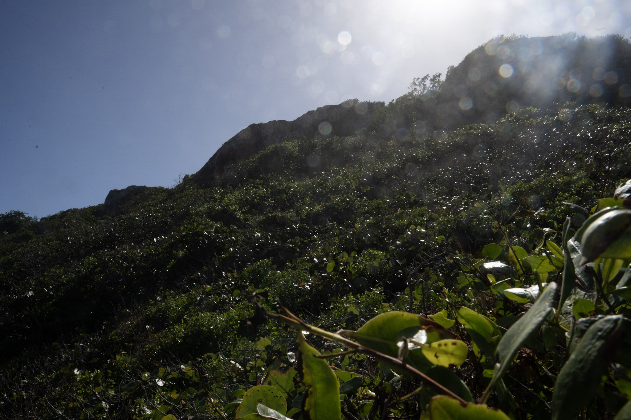 2022-12-26_Survivor_Beach - foto 139