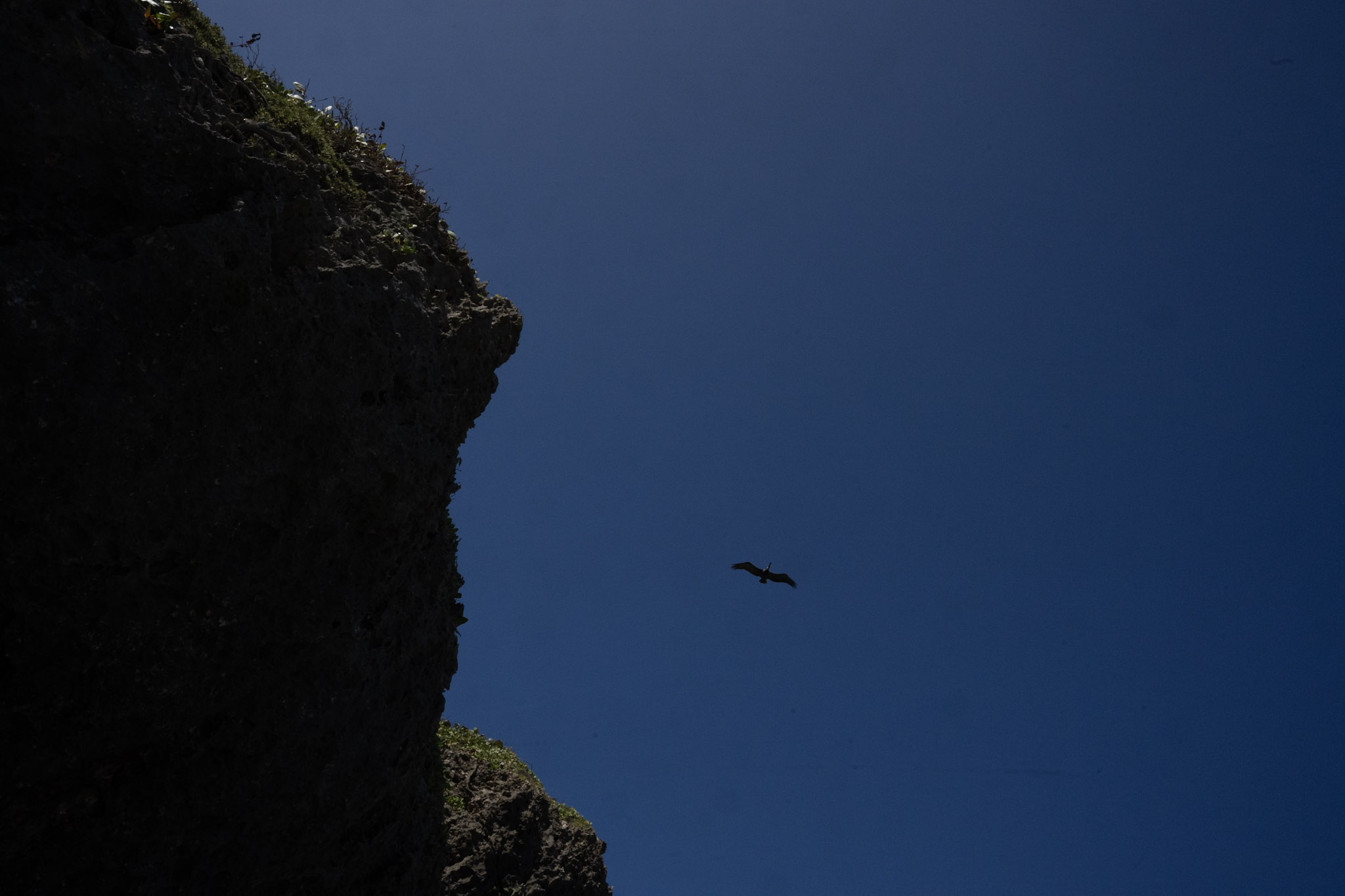 2022-12-26_Survivor_Beach - foto 144