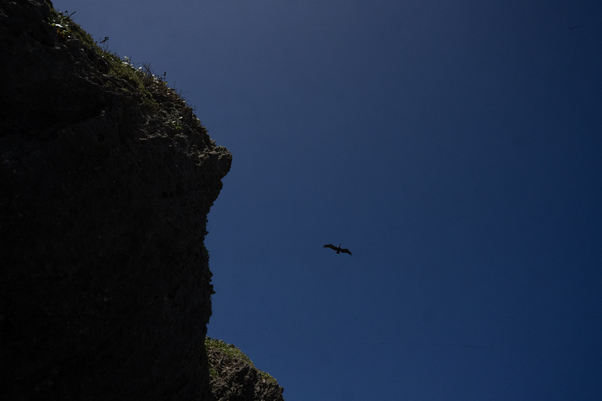 2022-12-26_Survivor_Beach - foto 145