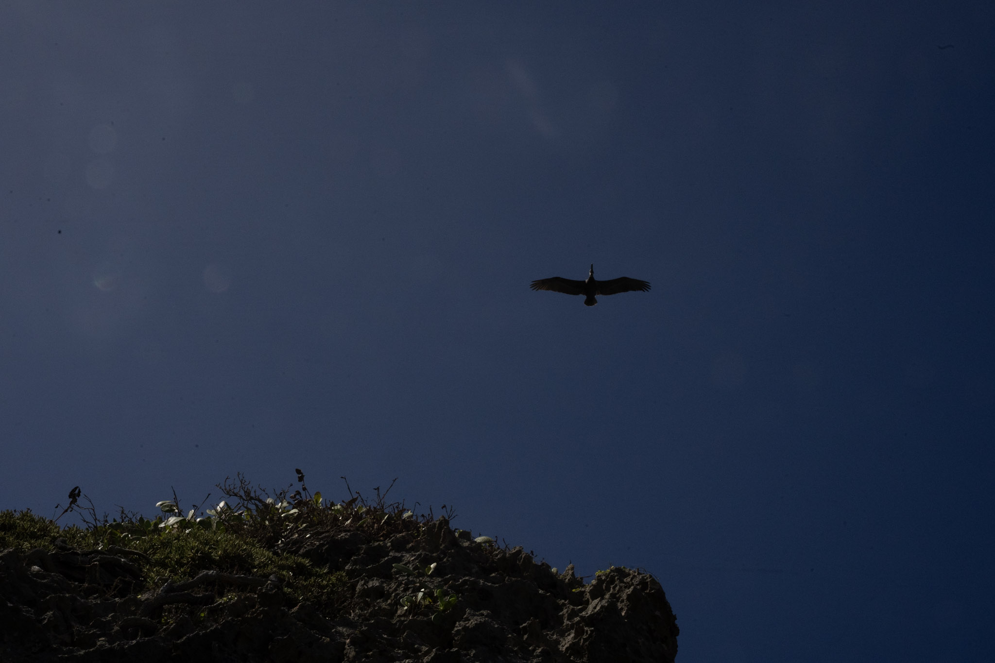 2022-12-26_Survivor_Beach - foto 146