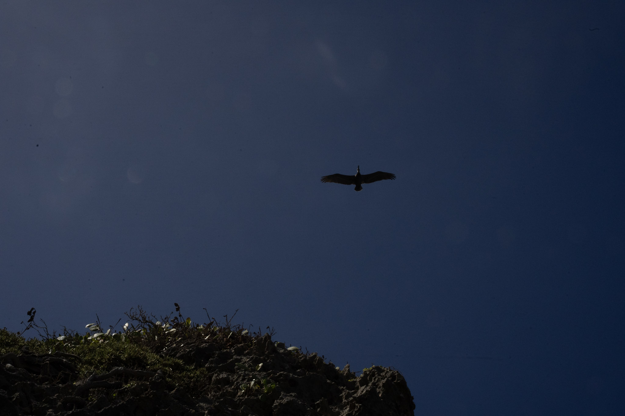 2022-12-26_Survivor_Beach - foto 147