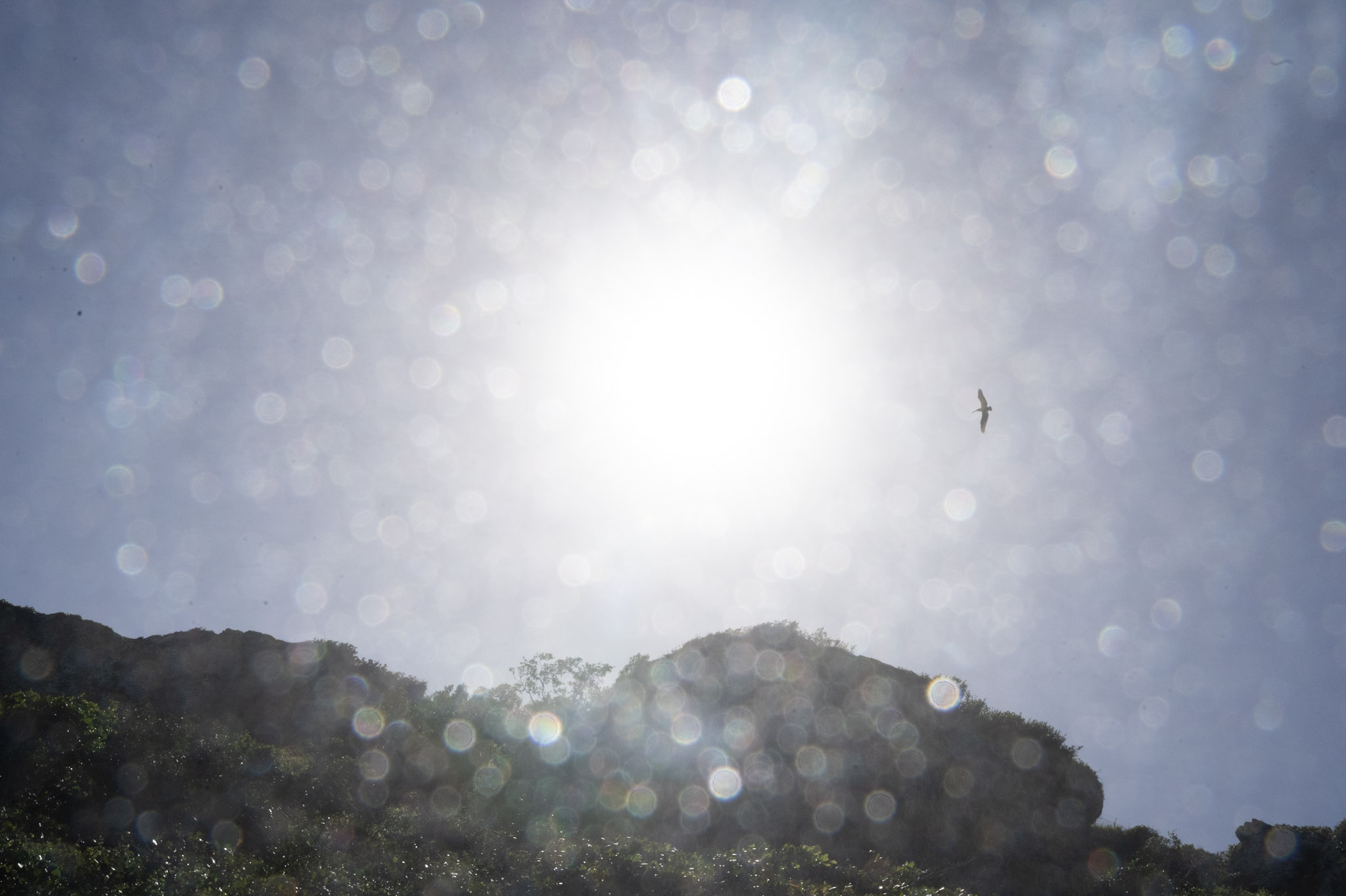 2022-12-26_Survivor_Beach - foto 149