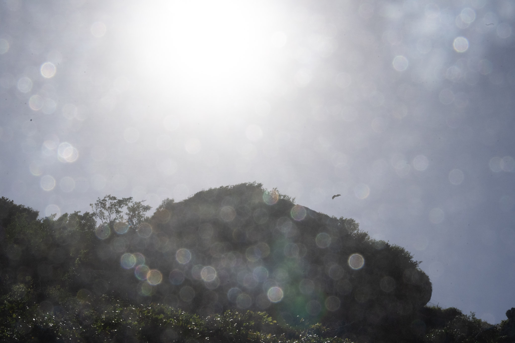 2022-12-26_Survivor_Beach - foto 150