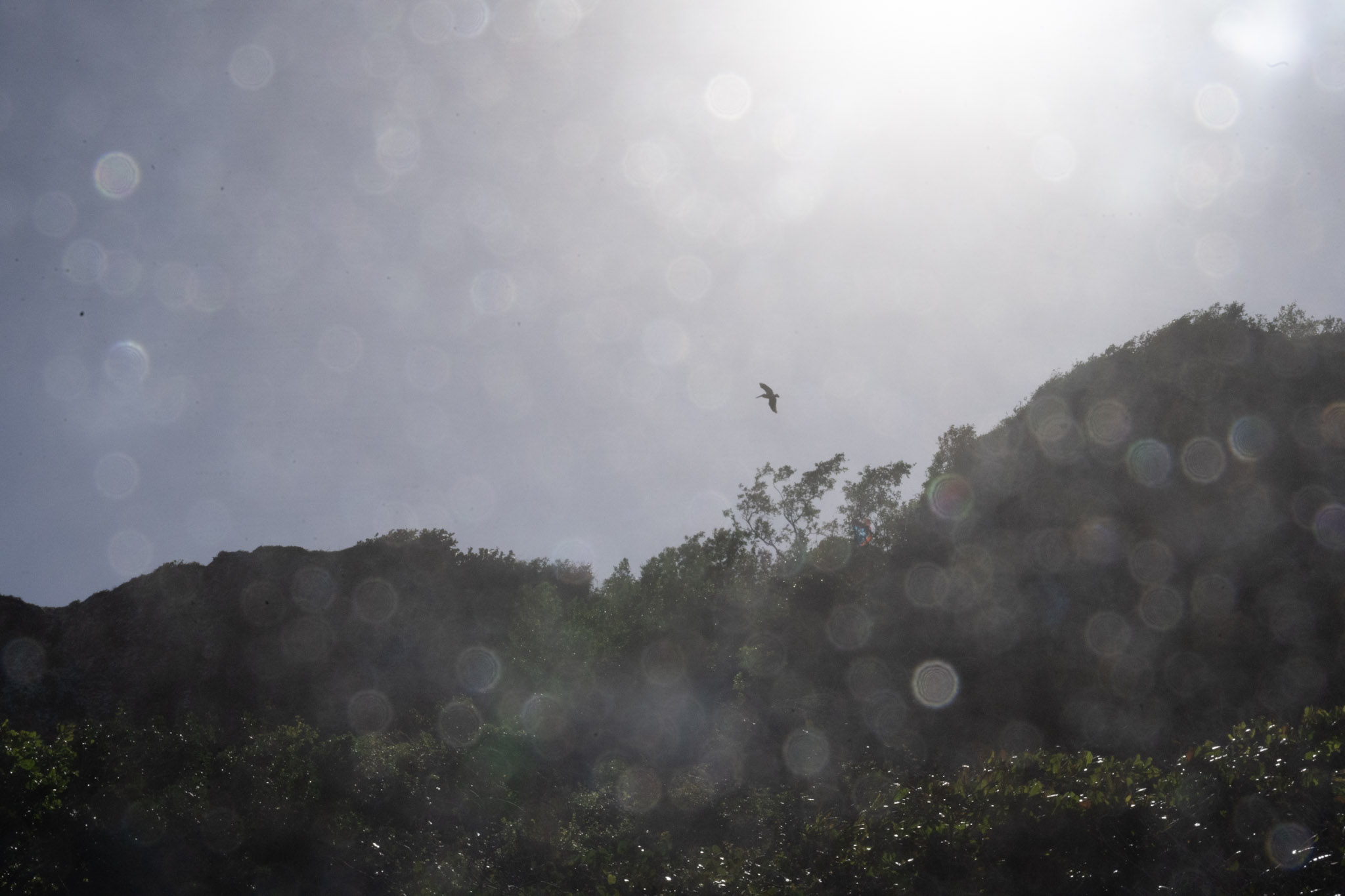 2022-12-26_Survivor_Beach - foto 152