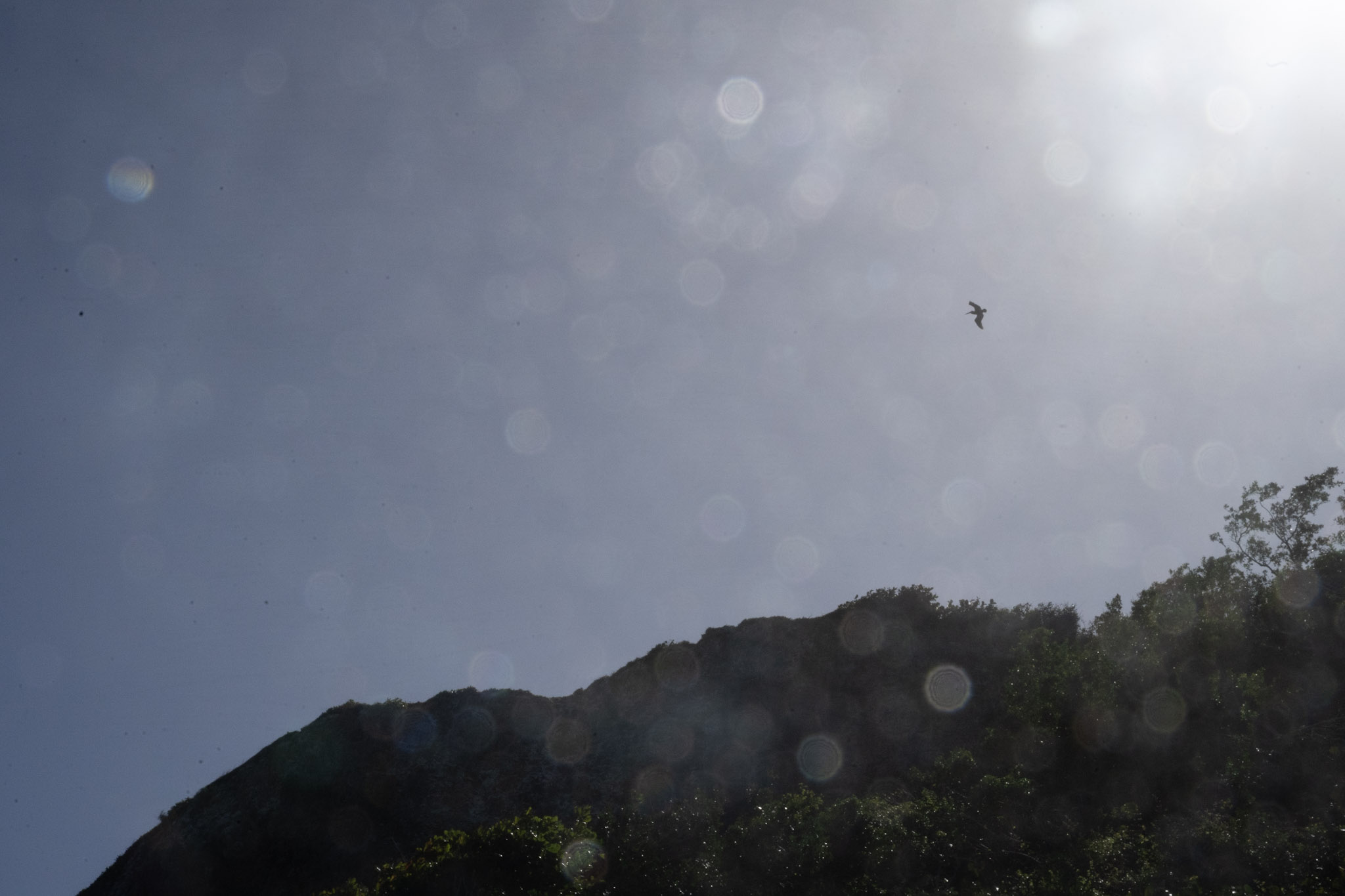 2022-12-26_Survivor_Beach - foto 154