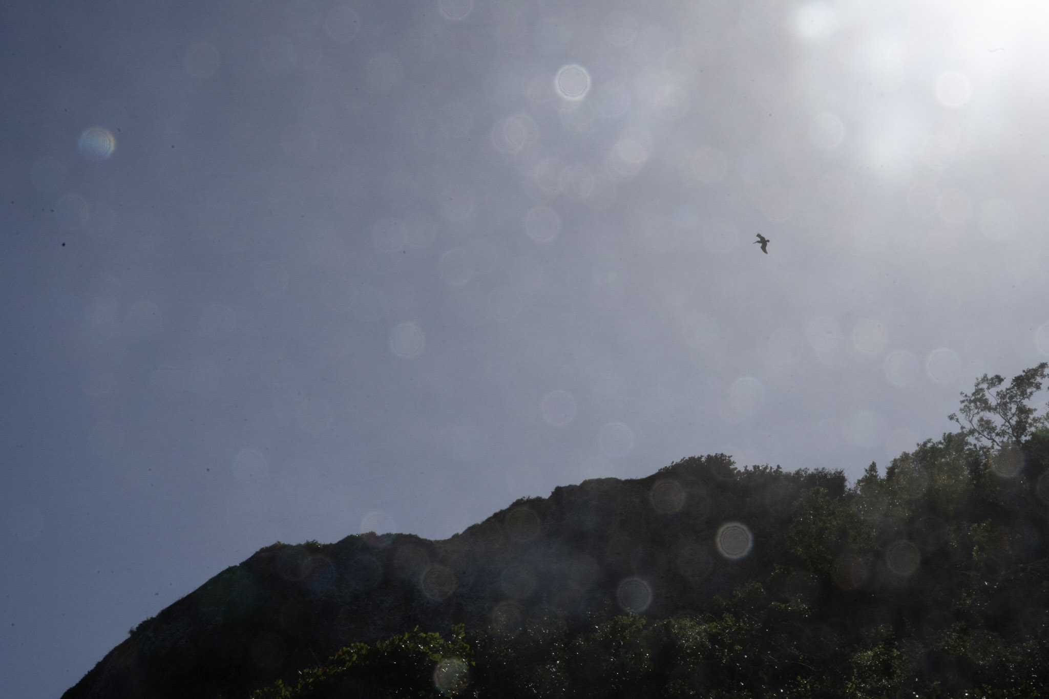 2022-12-26_Survivor_Beach - foto 155