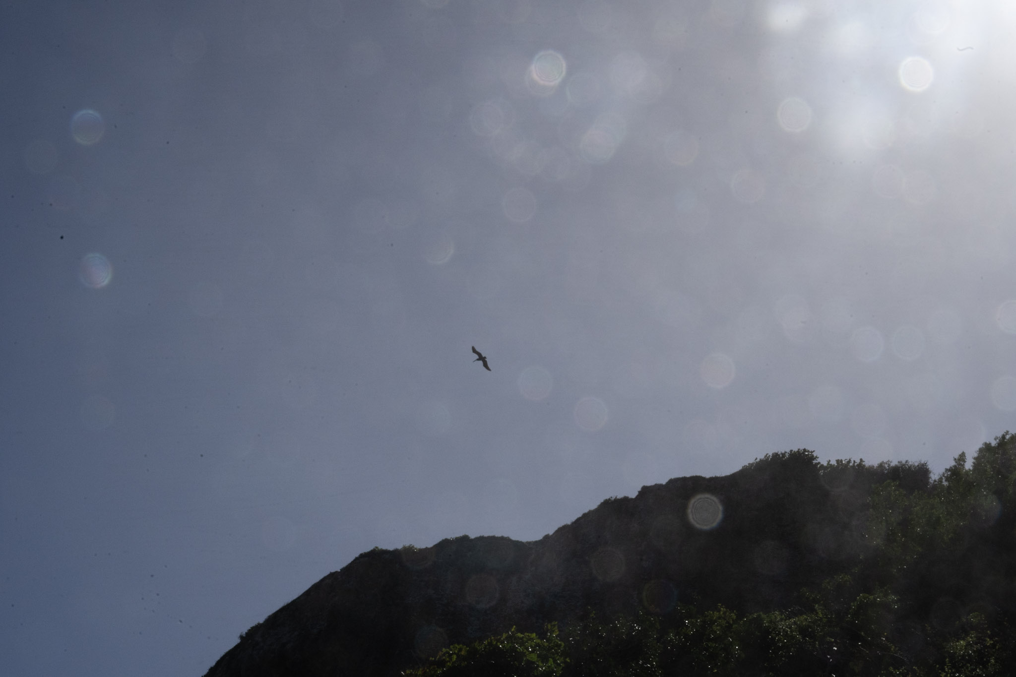 2022-12-26_Survivor_Beach - foto 156